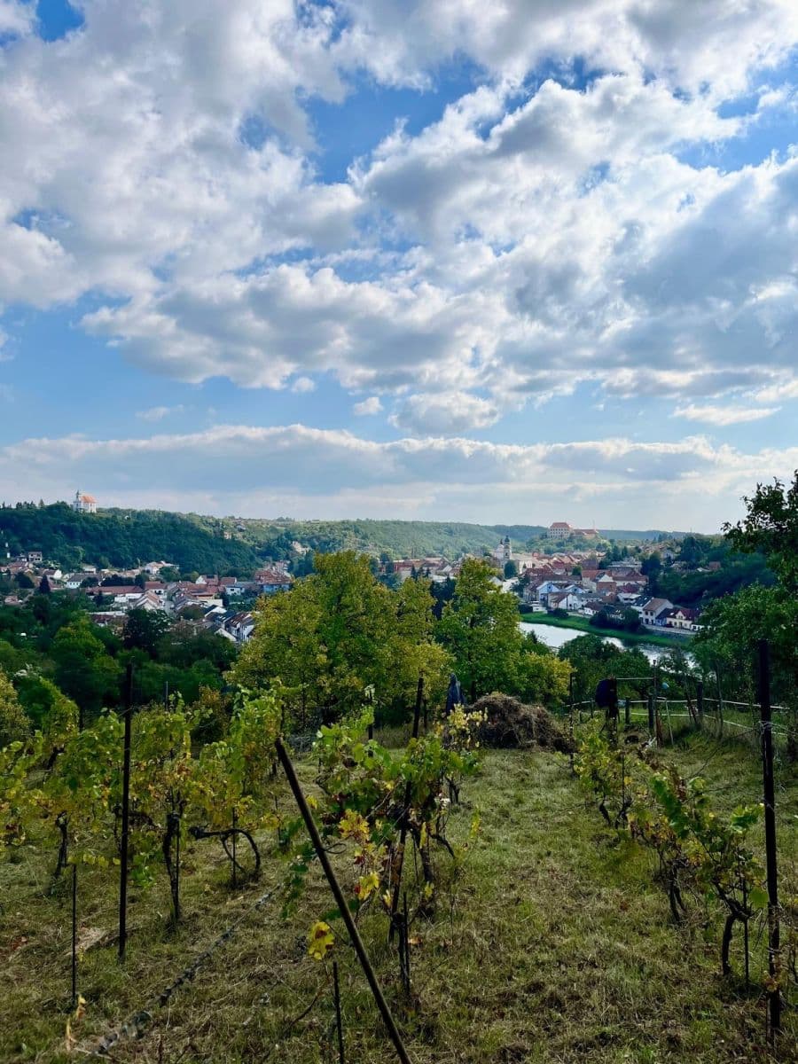 Prodej pozemku 3.055 m², Dolní Kounice, Jihomoravský kraj Prodej pozemku 3.055 m², Dolní Kounice, Jihomoravský kraj