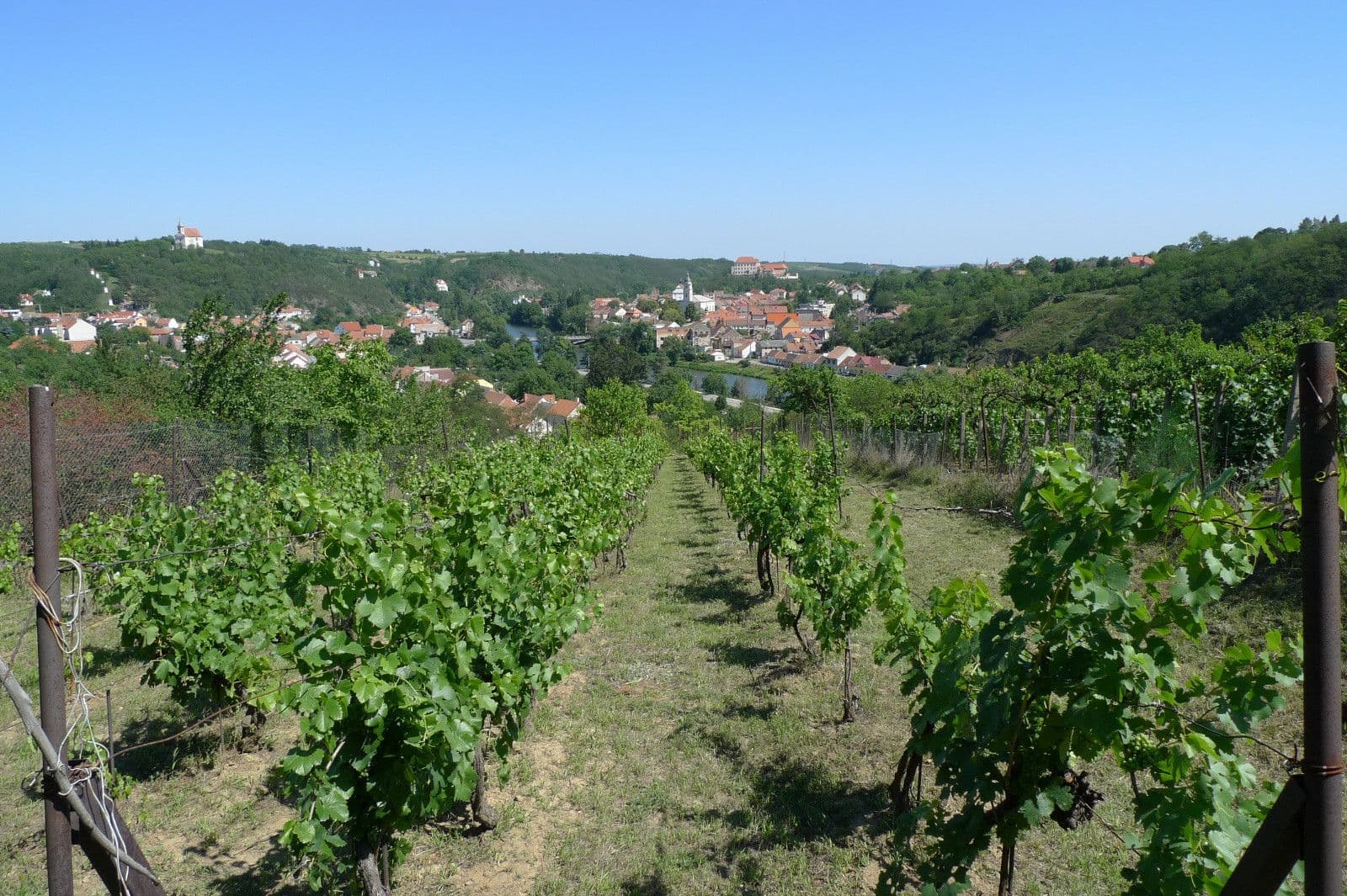 Prodej pozemku 3.055 m², Dolní Kounice, Jihomoravský kraj Prodej pozemku 3.055 m², Dolní Kounice, Jihomoravský kraj