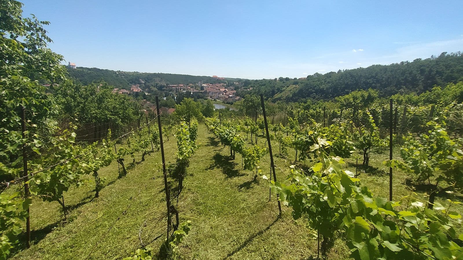 Prodej pozemku 3.055 m², Dolní Kounice, Jihomoravský kraj Prodej pozemku 3.055 m², Dolní Kounice, Jihomoravský kraj