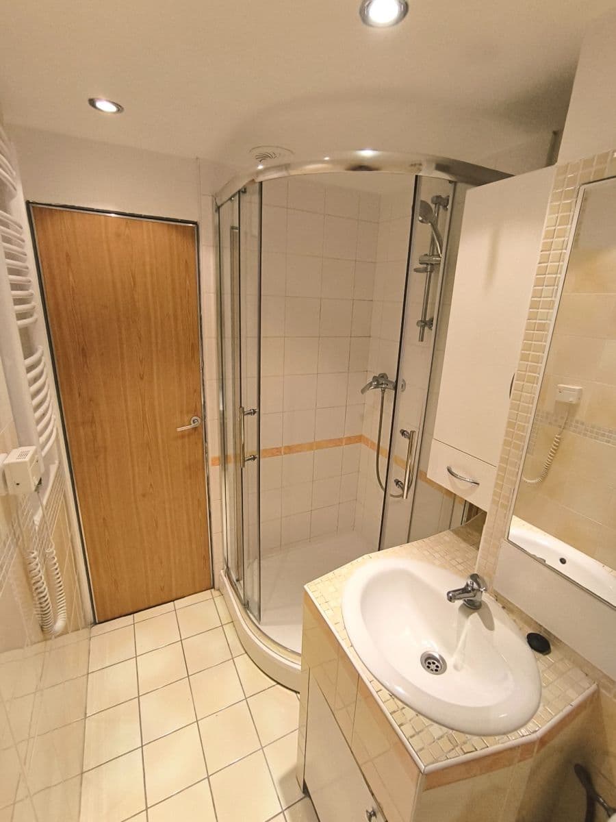 Pronájem bytu 1+1 38 m², Novoměstská, Brno, Jihomoravský kraj Pronájem bytu 1+1 38 m², Novoměstská, Brno, Jihomoravský kraj