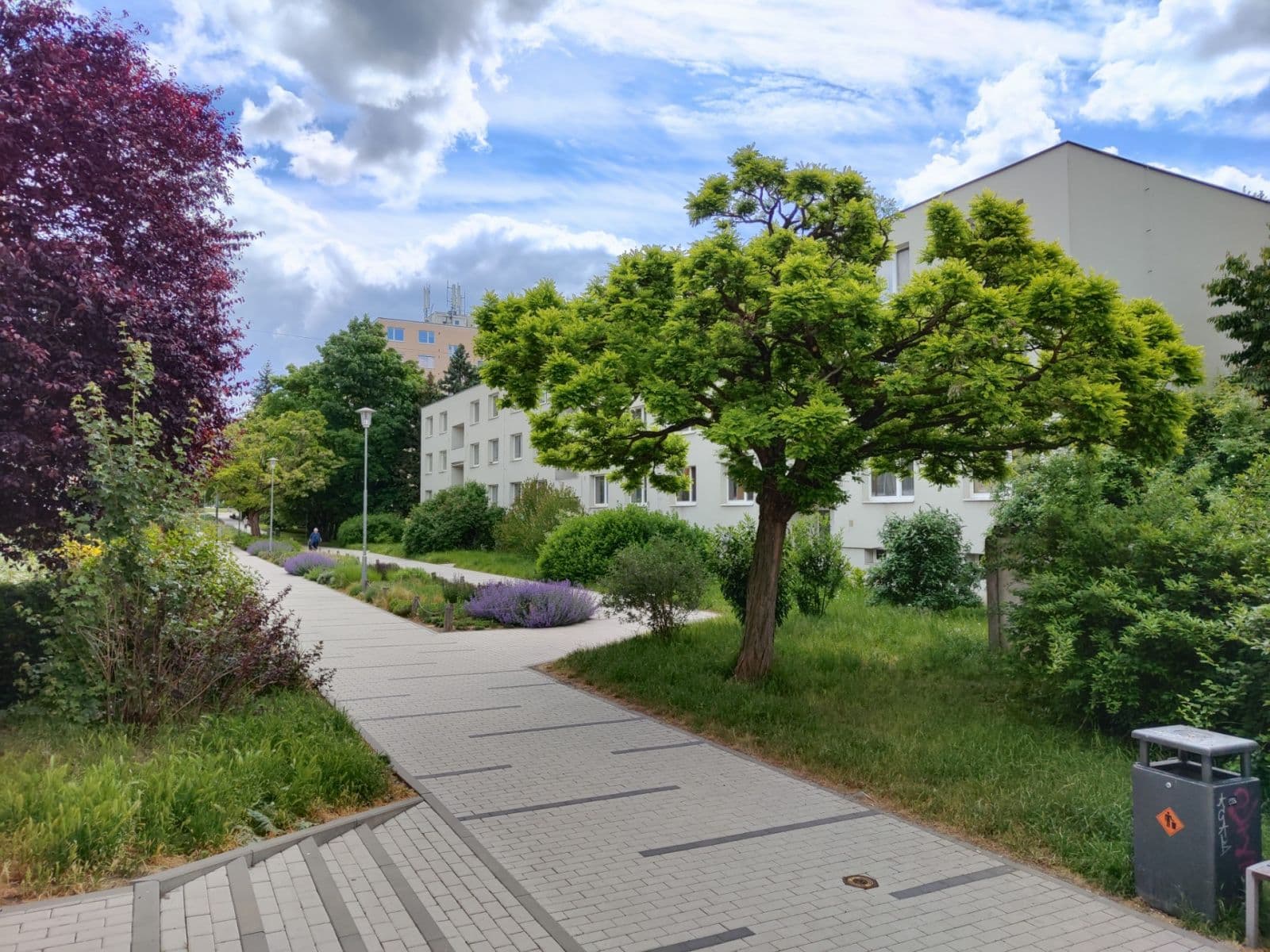 Pronájem bytu 1+1 33 m², Absolonova, Brno, Jihomoravský kraj Pronájem bytu 1+1 33 m², Absolonova, Brno, Jihomoravský kraj