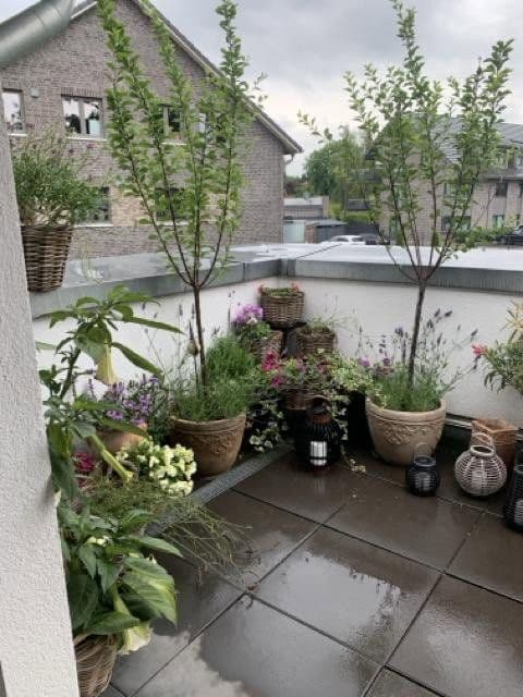 Pronájem bytu 3+1 104 m², Seevetal, Dolní Sasko Pronájem bytu 3+1 104 m², Seevetal, Dolní Sasko