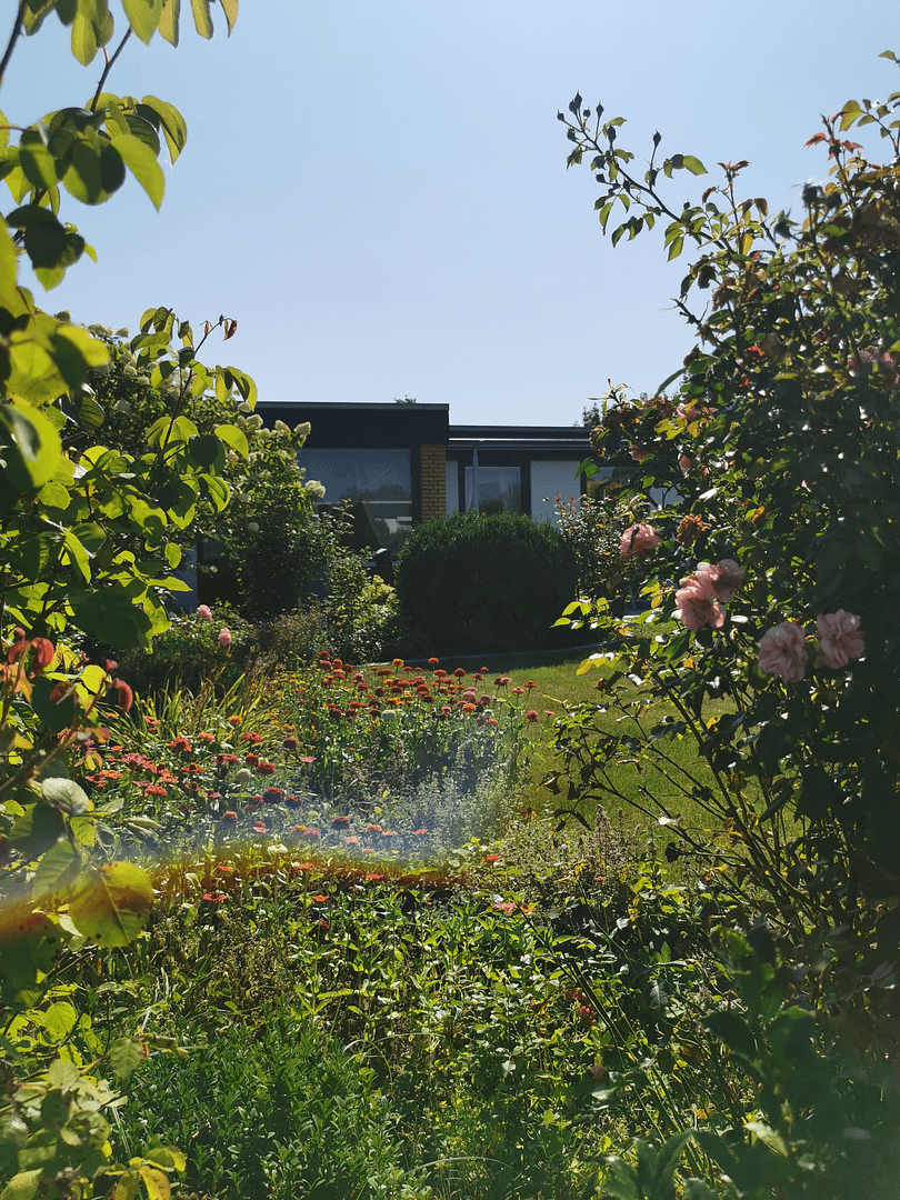 Prodej domu 99 m², pozemek 493 m², Hildesheim, Dolní Sasko Prodej domu 99 m², pozemek 493 m², Hildesheim, Dolní Sasko