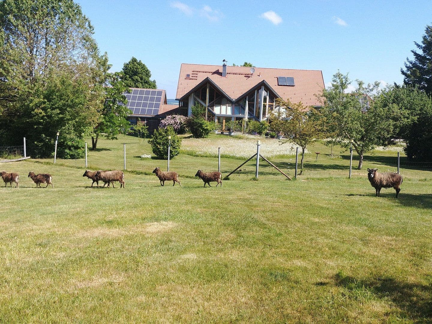 Prodej domu 262 m², pozemek 14.683 m², Rathausstraße 25, Bad Wurzach, Bádensko-Württembersko Prodej domu 262 m², pozemek 14.683 m², Rathausstraße 25, Bad Wurzach, Bádensko-Württembersko