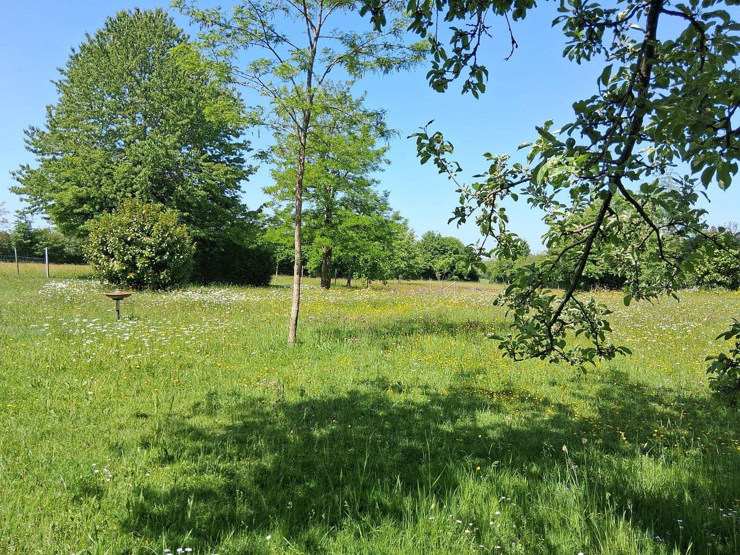 Prodej domu 262 m², pozemek 14.683 m², Rathausstraße 25, Bad Wurzach, Bádensko-Württembersko Prodej domu 262 m², pozemek 14.683 m², Rathausstraße 25, Bad Wurzach, Bádensko-Württembersko