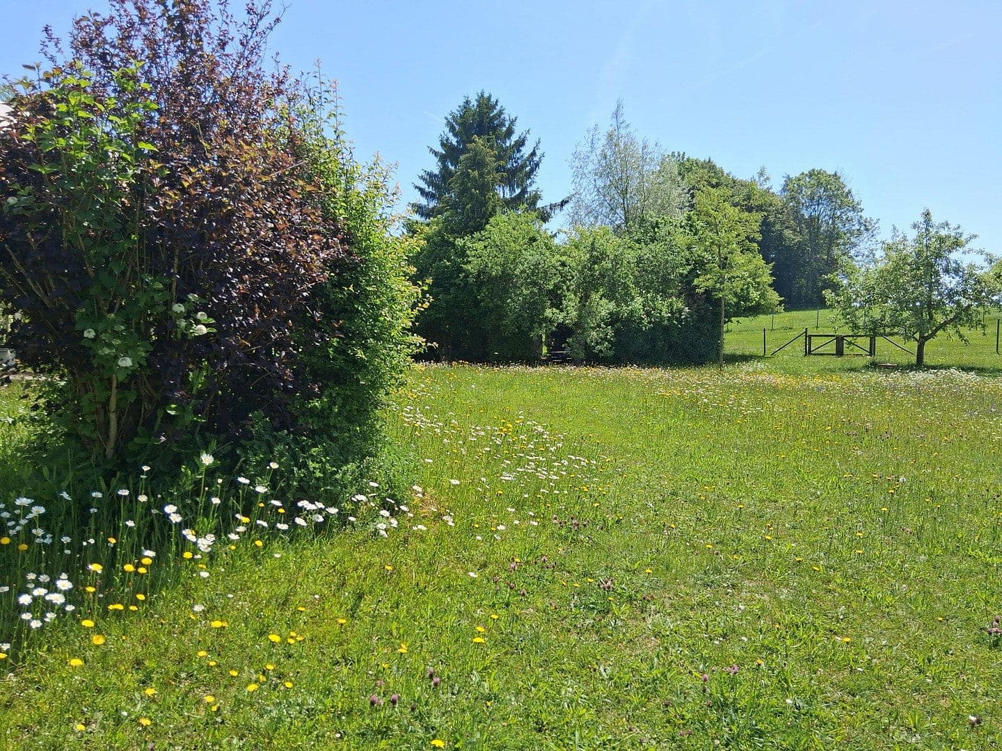 Prodej domu 262 m², pozemek 14.683 m², Rathausstraße 25, Bad Wurzach, Bádensko-Württembersko Prodej domu 262 m², pozemek 14.683 m², Rathausstraße 25, Bad Wurzach, Bádensko-Württembersko
