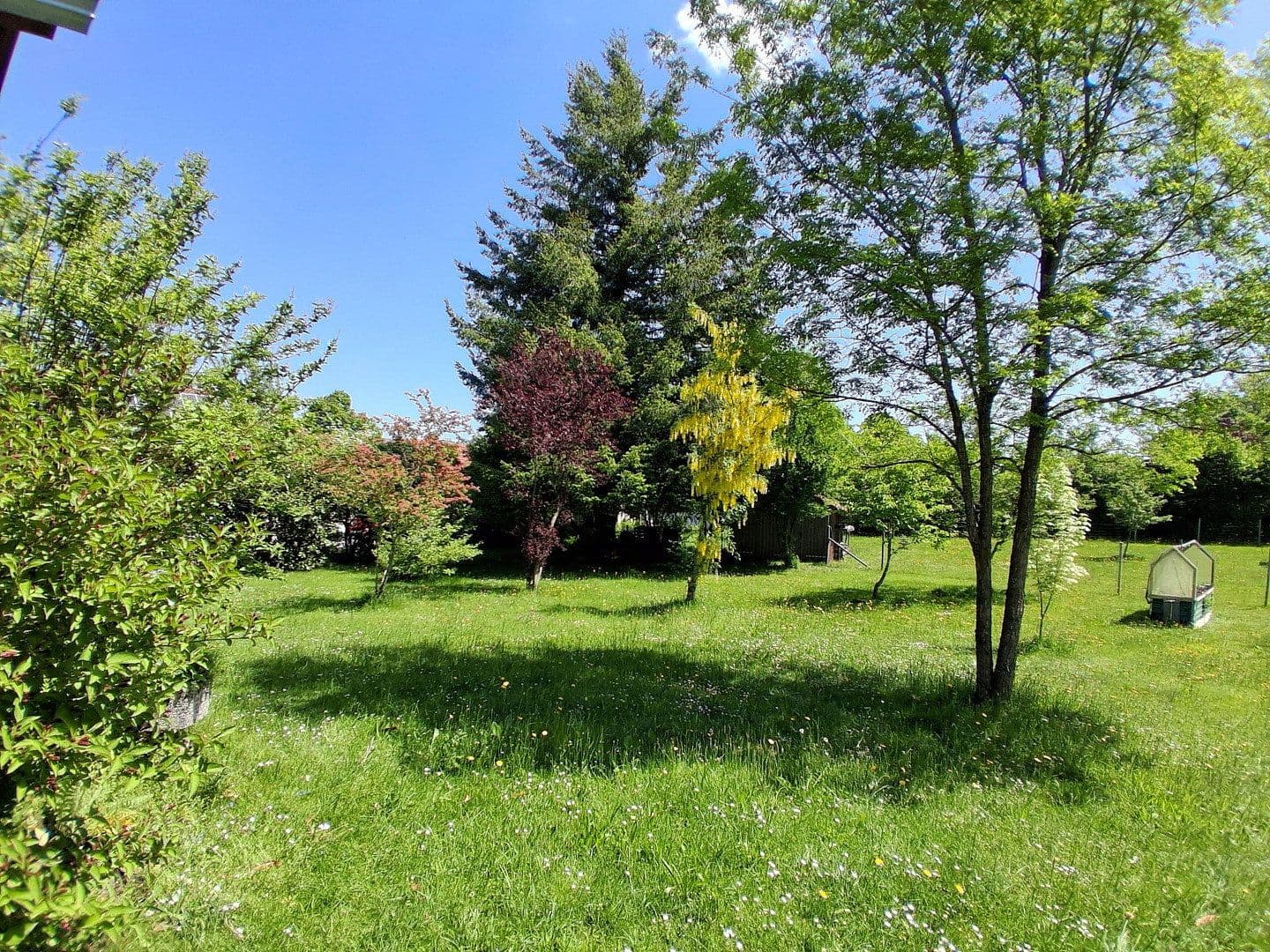 Prodej domu 262 m², pozemek 14.683 m², Rathausstraße 25, Bad Wurzach, Bádensko-Württembersko Prodej domu 262 m², pozemek 14.683 m², Rathausstraße 25, Bad Wurzach, Bádensko-Württembersko