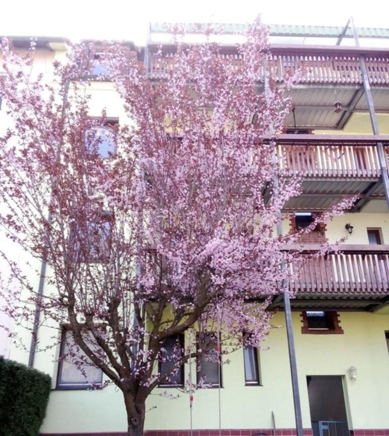 Prodej bytu 2+1 47 m², Thumenberger Weg 3, Nürnberg, Bavorsko Prodej bytu 2+1 47 m², Thumenberger Weg 3, Nürnberg, Bavorsko