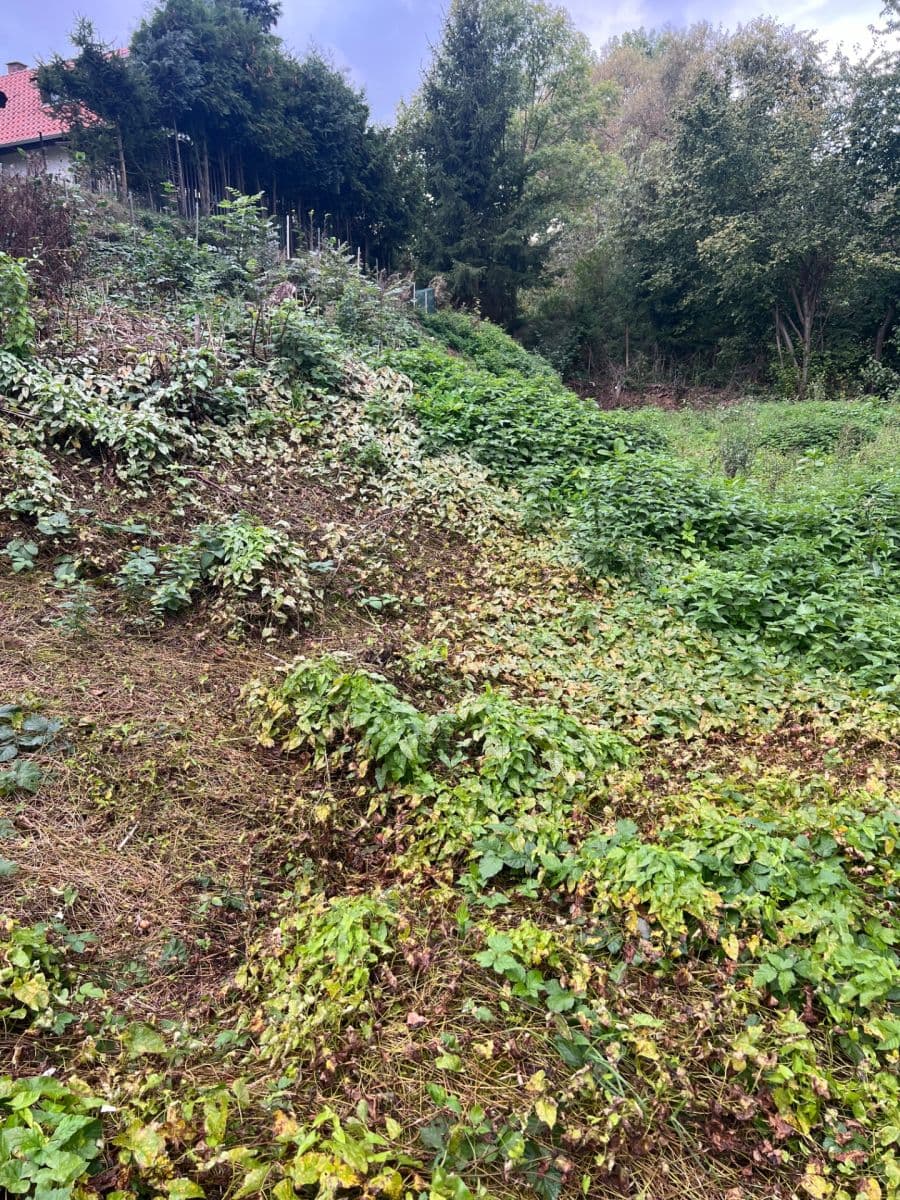 Prodej pozemku 360 m², Stříbrná Skalice, Středočeský kraj Prodej pozemku 360 m², Stříbrná Skalice, Středočeský kraj