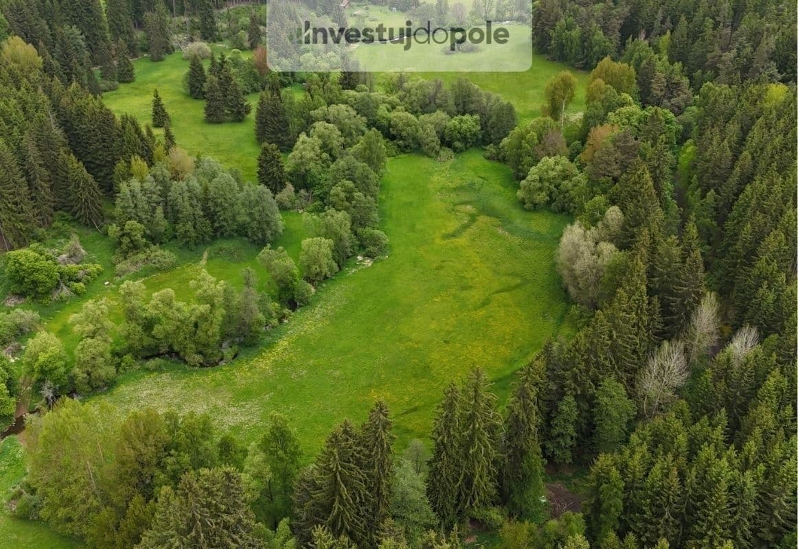 Prodej pozemku 19.467 m², Útvina, Karlovarský kraj Prodej pozemku 19.467 m², Útvina, Karlovarský kraj