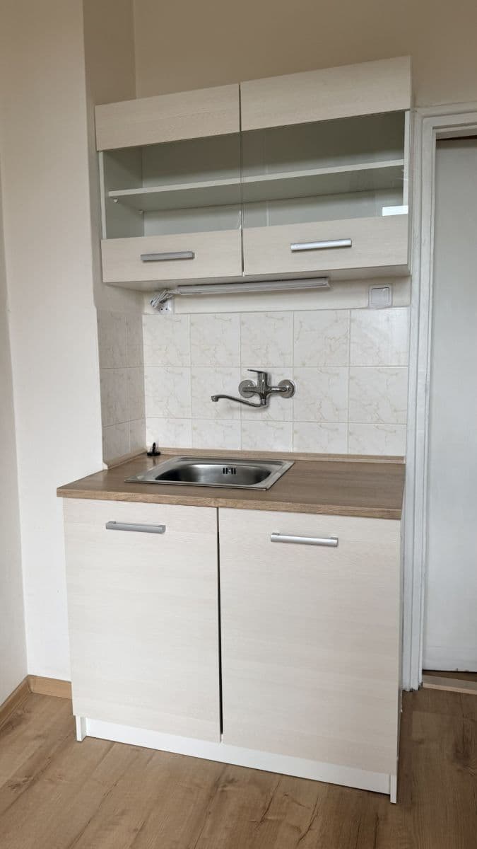 Pronájem bytu 1+1 43 m², Petra Rezka, Praha, Praha Pronájem bytu 1+1 43 m², Petra Rezka, Praha, Praha