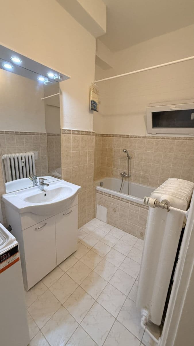 Pronájem bytu 1+1 43 m², Petra Rezka, Praha, Praha Pronájem bytu 1+1 43 m², Petra Rezka, Praha, Praha