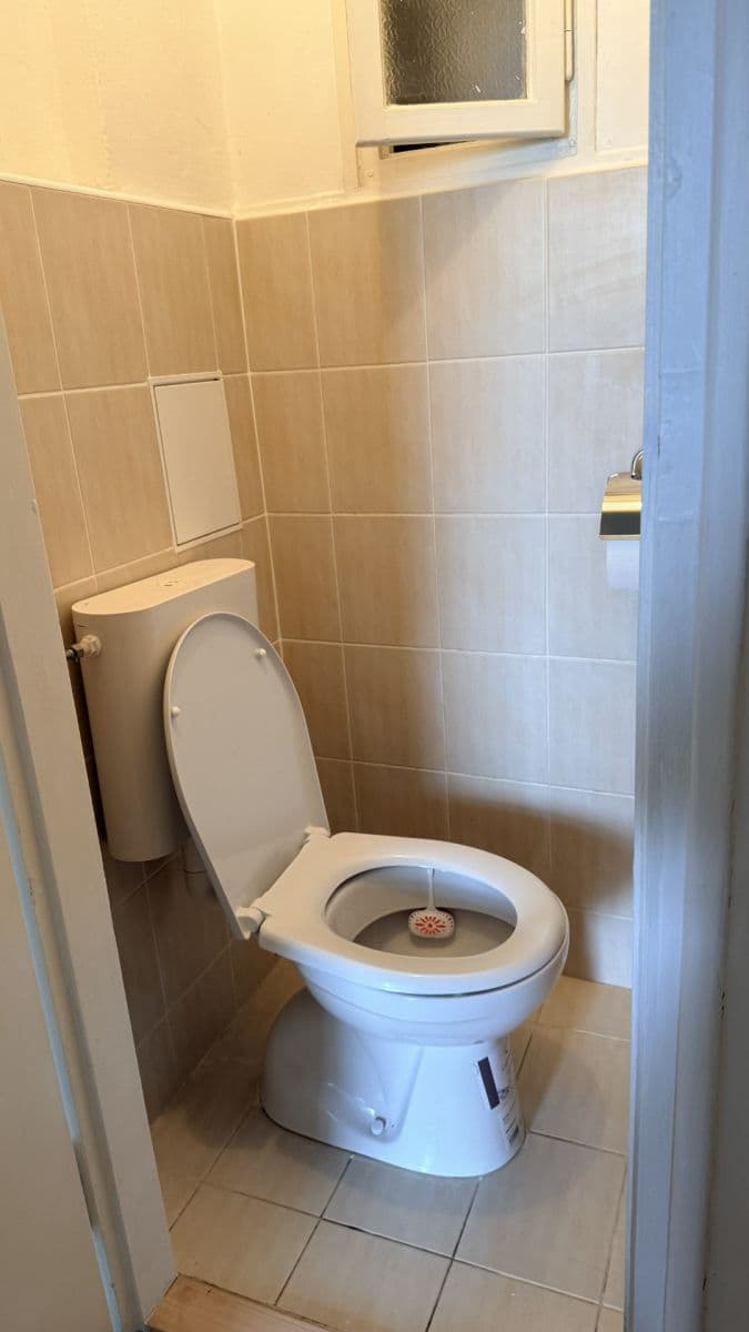 Pronájem bytu 1+1 43 m², Petra Rezka, Praha, Praha Pronájem bytu 1+1 43 m², Petra Rezka, Praha, Praha