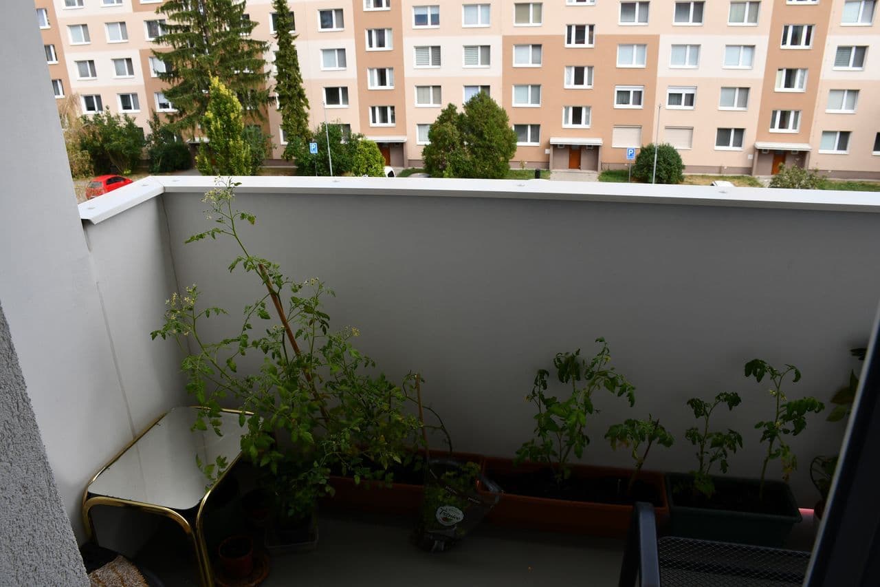 Prodej bytu 2+1 54 m², Slovácká, Břeclav, Jihomoravský kraj Prodej bytu 2+1 54 m², Slovácká, Břeclav, Jihomoravský kraj