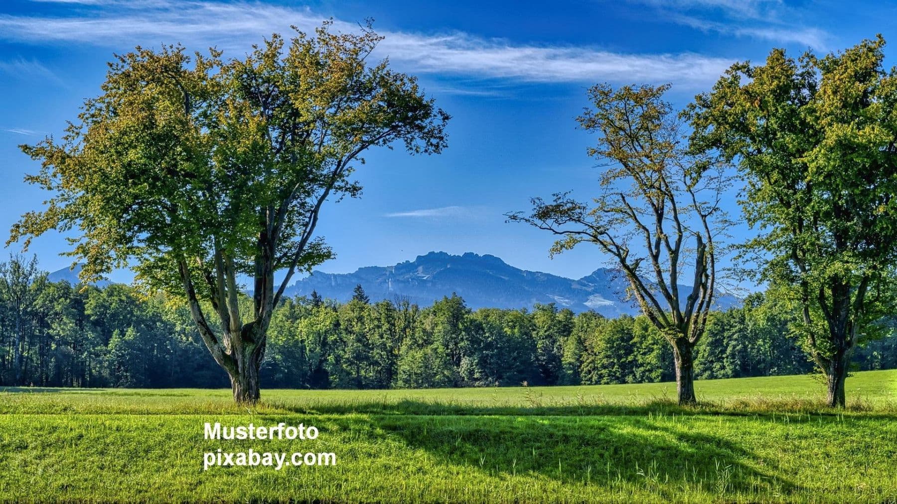 Prodej domu 140 m², pozemek 903 m², Bernau am Chiemsee, Bavorsko Prodej domu 140 m², pozemek 903 m², Bernau am Chiemsee, Bavorsko