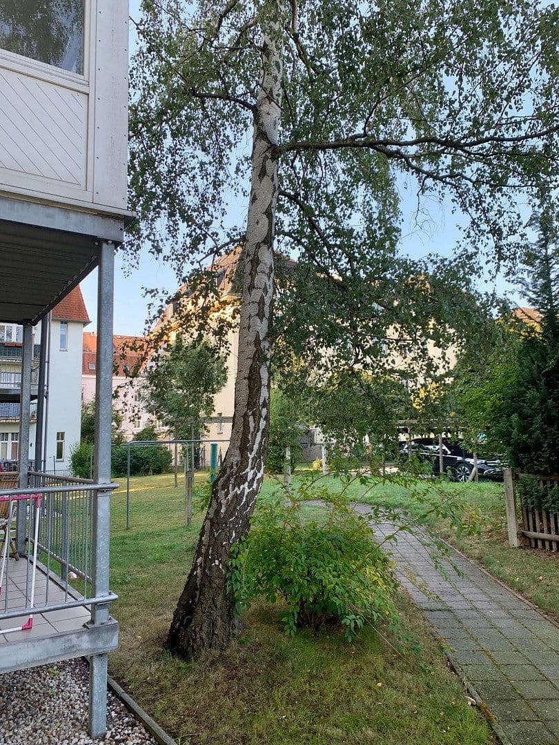 Pronájem bytu 2+1 50 m², Lutherstraße 23, Cvikov, Sasko Pronájem bytu 2+1 50 m², Lutherstraße 23, Cvikov, Sasko