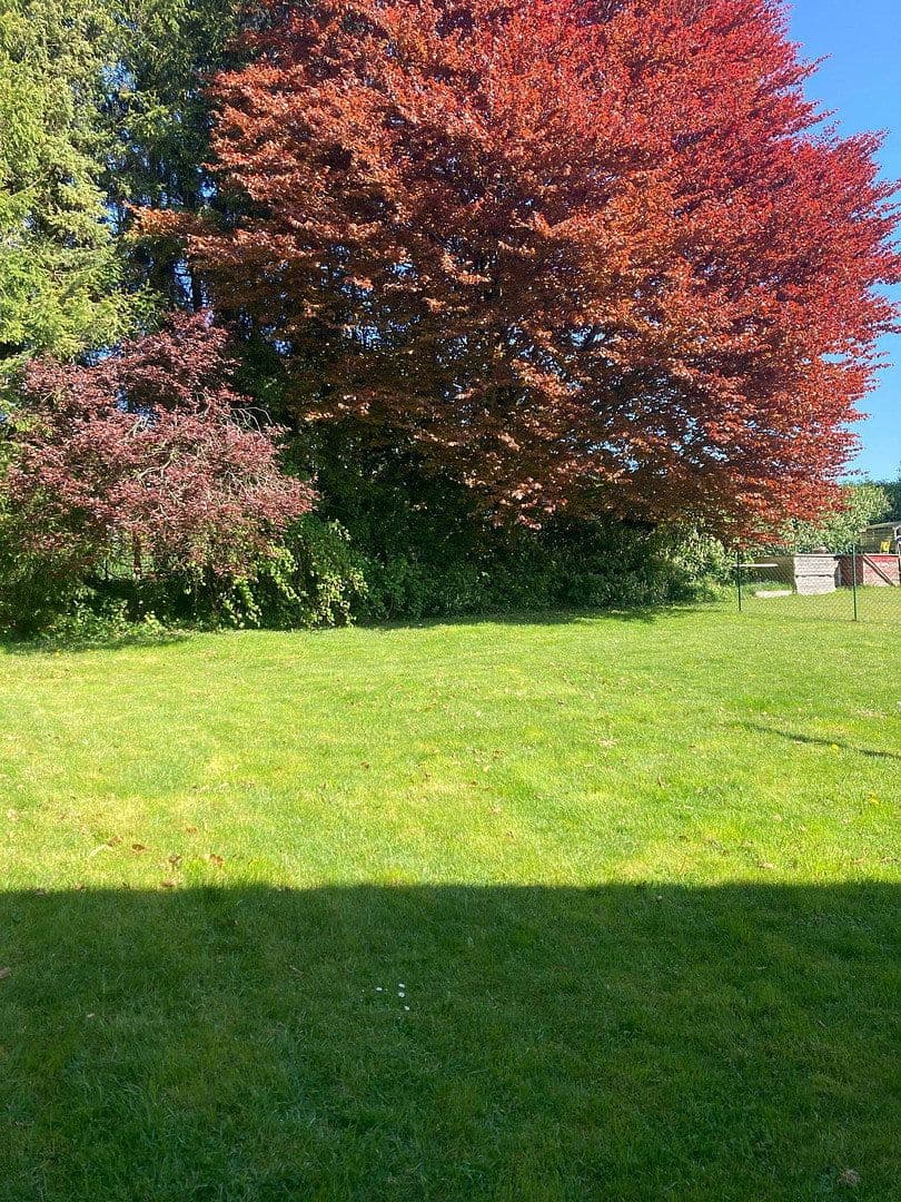 Prodej domu 118 m², pozemek 800 m², Wermelskirchen, Severní Porýní-Vestfálsko Prodej domu 118 m², pozemek 800 m², Wermelskirchen, Severní Porýní-Vestfálsko