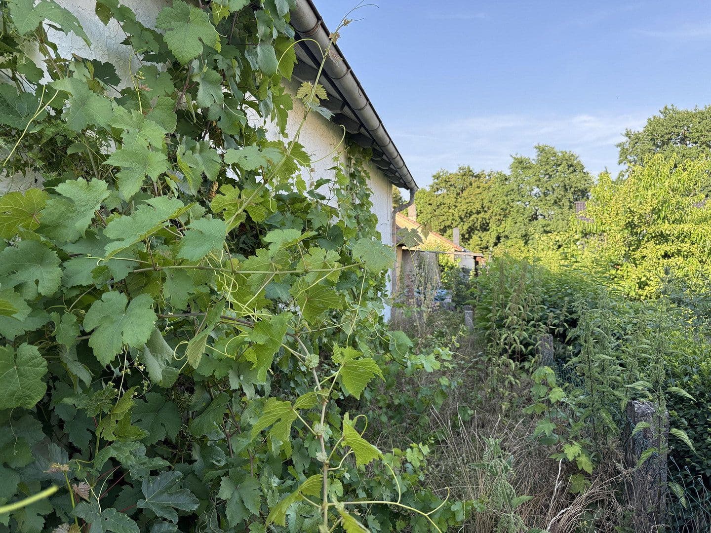 Prodej domu 60 m², pozemek 250 m², Bad Rappenau, Bádensko-Württembersko Prodej domu 60 m², pozemek 250 m², Bad Rappenau, Bádensko-Württembersko