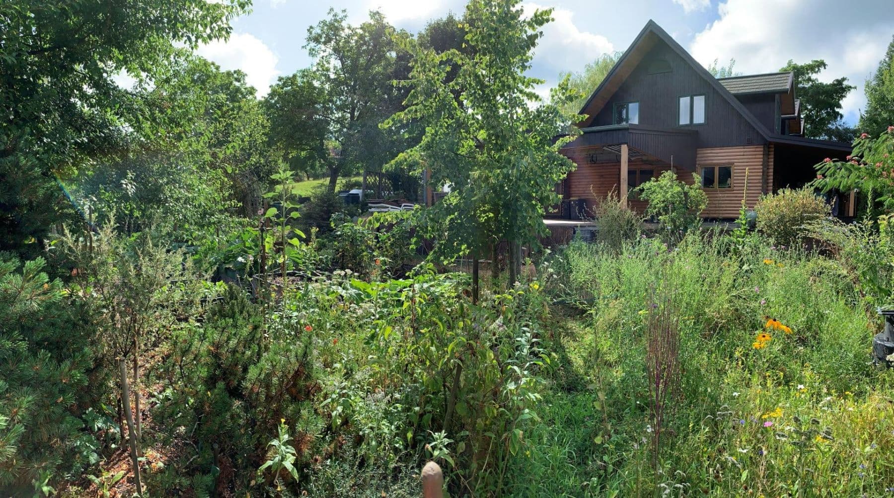 Prodej domu 168 m², pozemek 1.157 m², Windeck, Severní Porýní-Vestfálsko Prodej domu 168 m², pozemek 1.157 m², Windeck, Severní Porýní-Vestfálsko