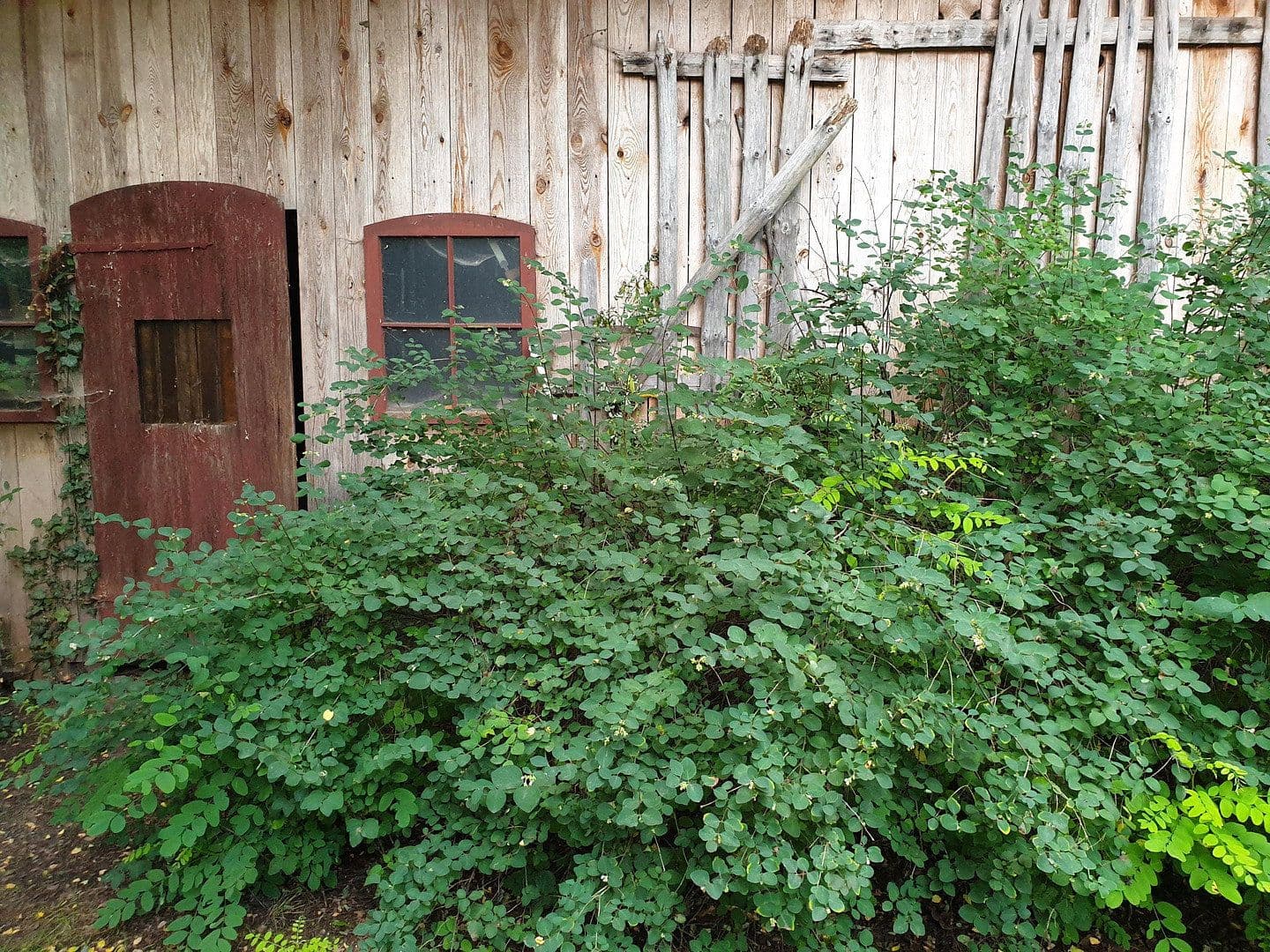 Prodej domu 170 m², pozemek 2.000 m², Kremmen, Braniborsko Prodej domu 170 m², pozemek 2.000 m², Kremmen, Braniborsko