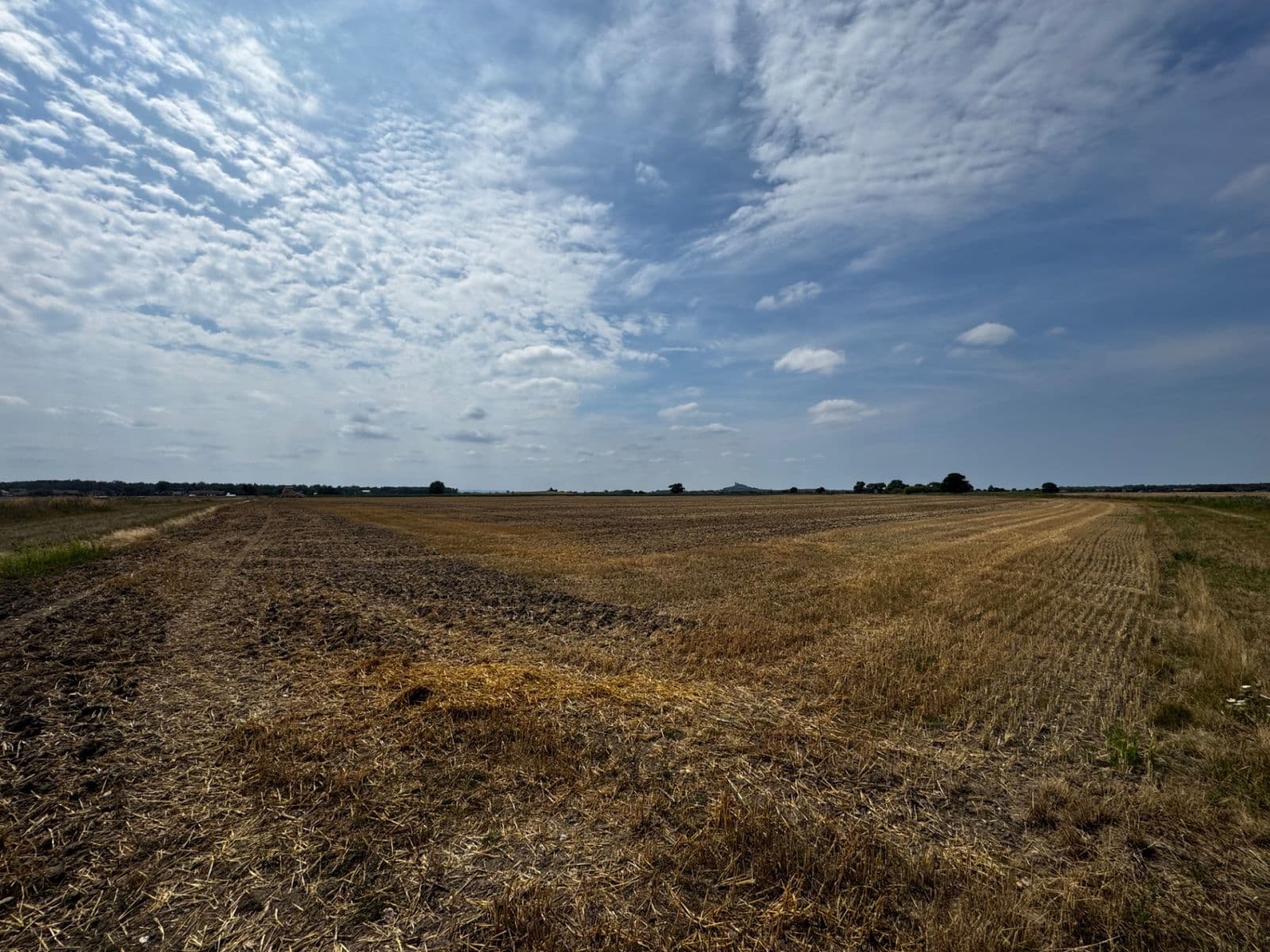 Prodej pozemku 83.000 m², Pardubická, Choteč, Pardubický kraj Prodej pozemku 83.000 m², Pardubická, Choteč, Pardubický kraj