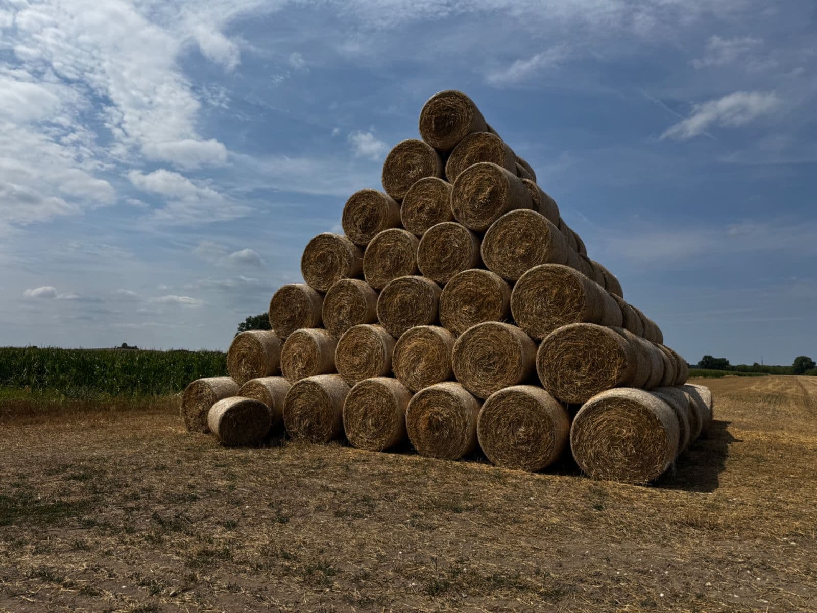 Prodej pozemku 83.000 m², Pardubická, Choteč, Pardubický kraj Prodej pozemku 83.000 m², Pardubická, Choteč, Pardubický kraj