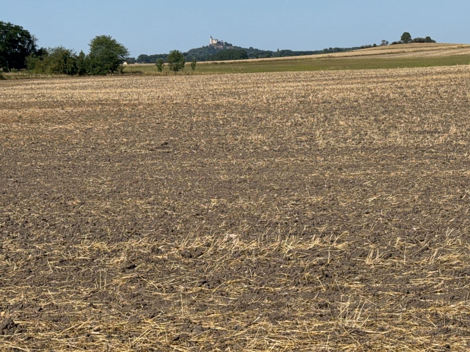 Prodej pozemku 32.000 m², Pardubická, Choteč, Pardubický kraj Prodej pozemku 32.000 m², Pardubická, Choteč, Pardubický kraj
