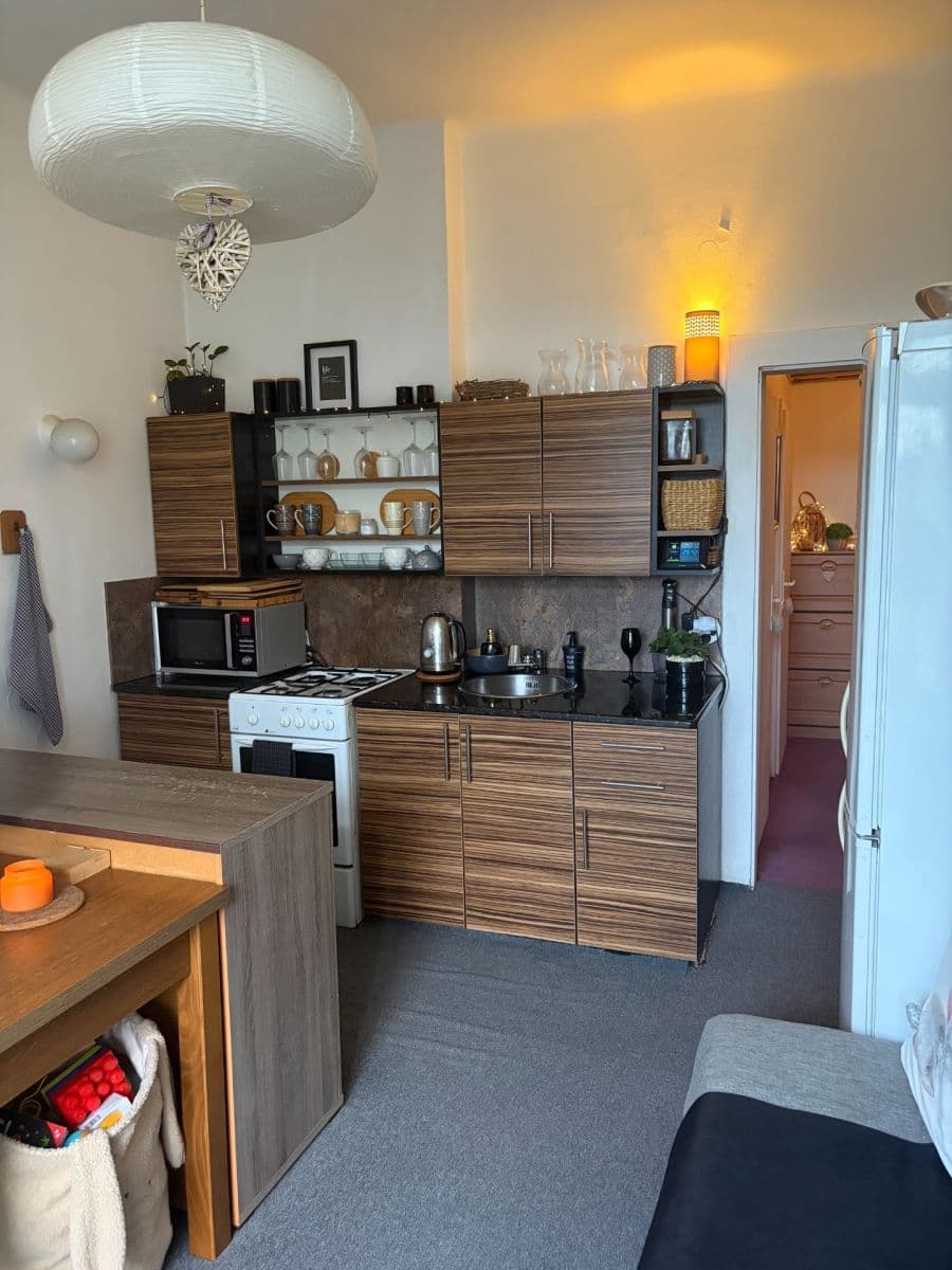 Pronájem bytu 1+1 50 m², Vodova, Brno, Jihomoravský kraj Pronájem bytu 1+1 50 m², Vodova, Brno, Jihomoravský kraj