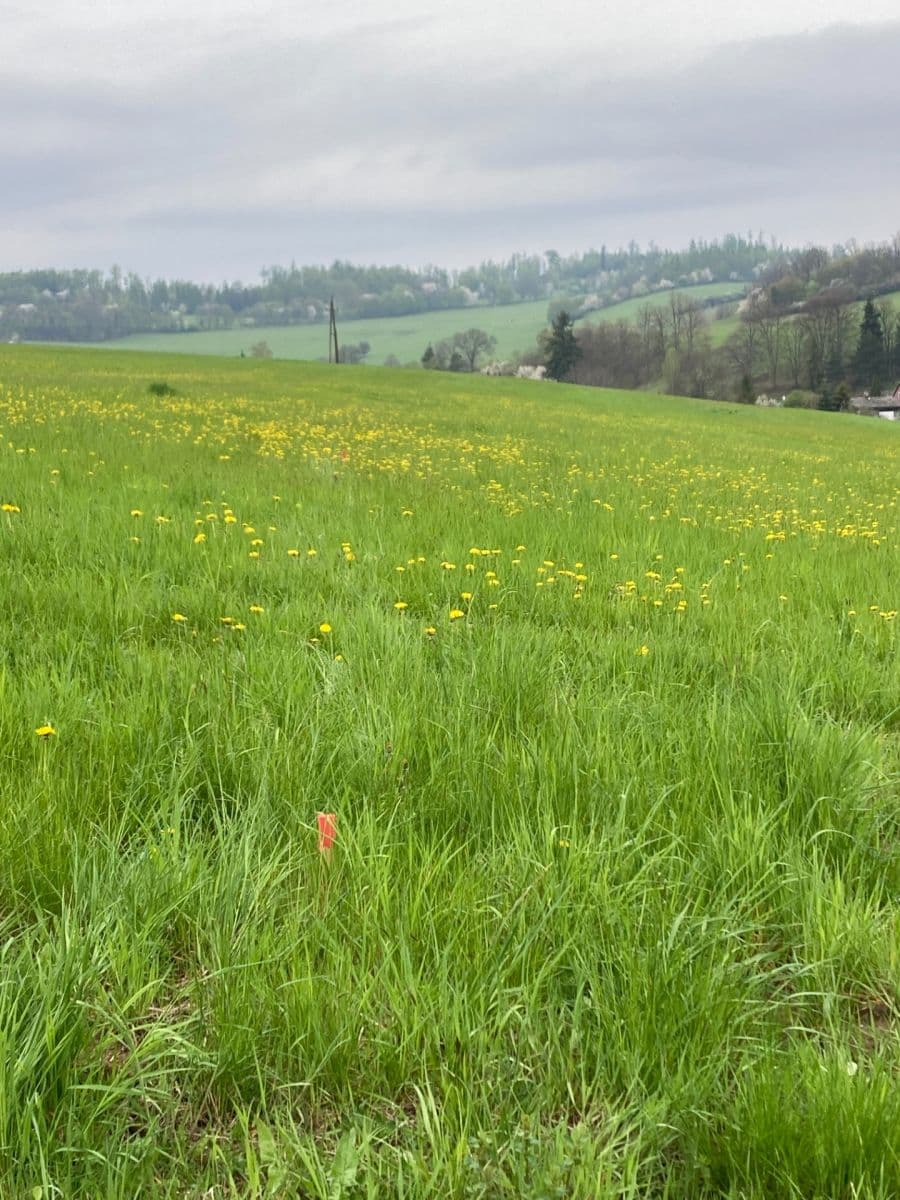 Prodej pozemku 2.000 m², Čaková, Moravskoslezský kraj Prodej pozemku 2.000 m², Čaková, Moravskoslezský kraj