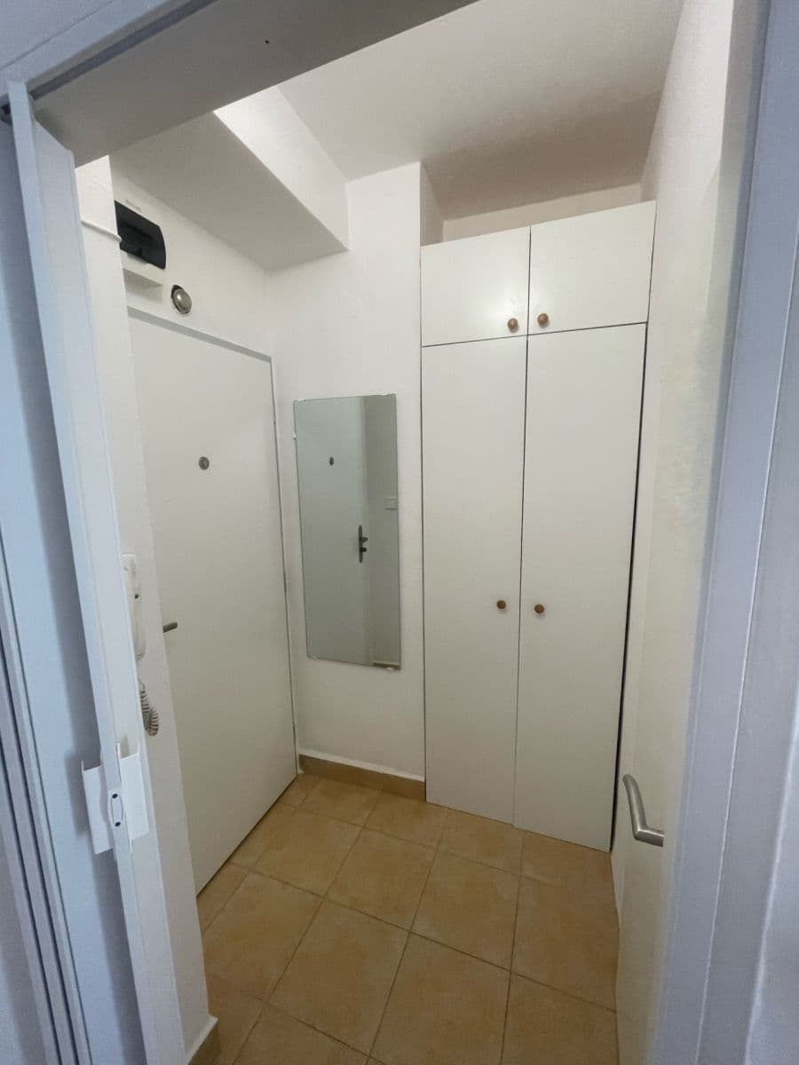 Pronájem bytu 1+kk 27 m², Dřevařská, Brno, Jihomoravský kraj Pronájem bytu 1+kk 27 m², Dřevařská, Brno, Jihomoravský kraj