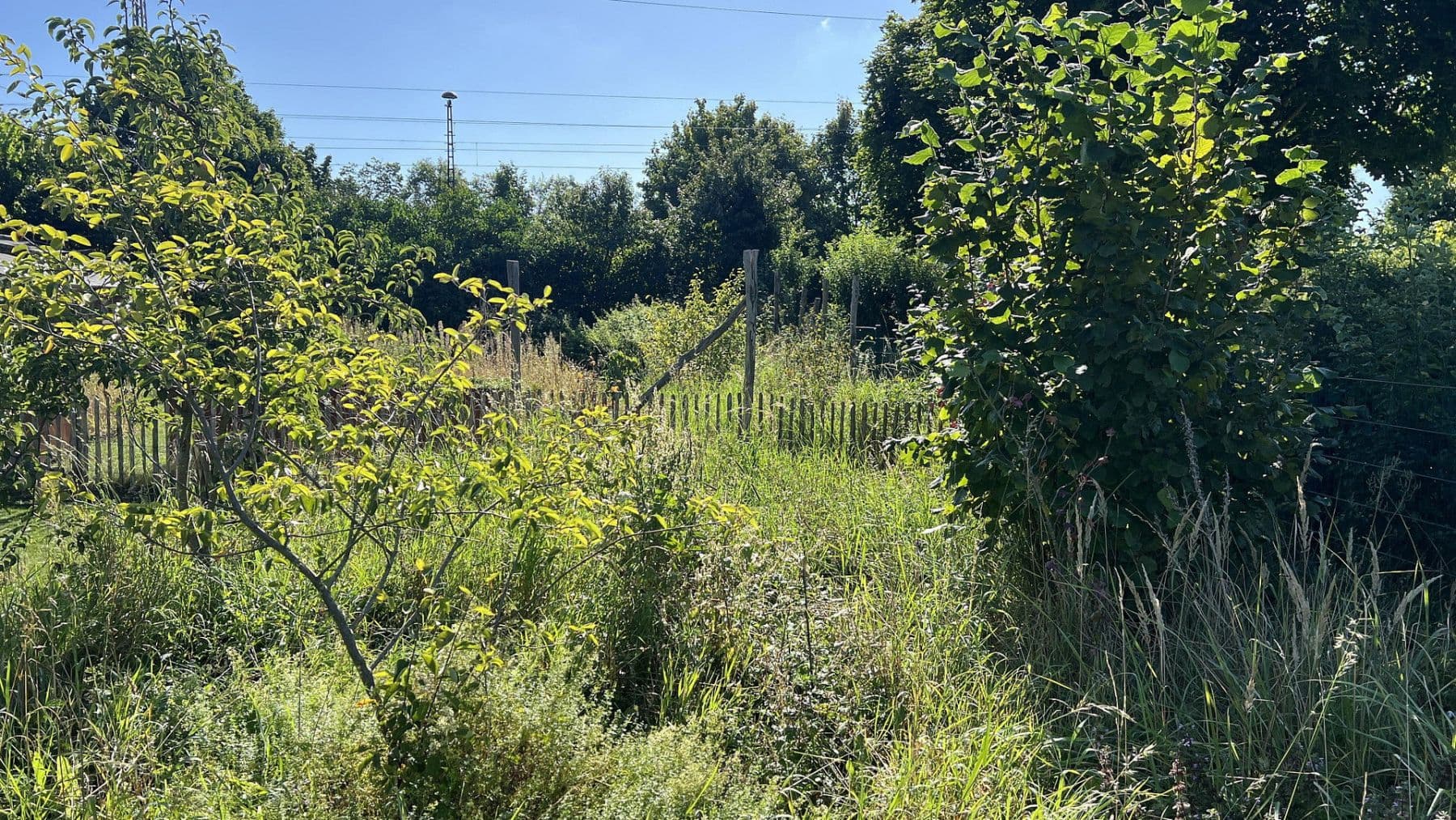 Prodej pozemku 1.646 m², Biesenthal, Braniborsko Prodej pozemku 1.646 m², Biesenthal, Braniborsko
