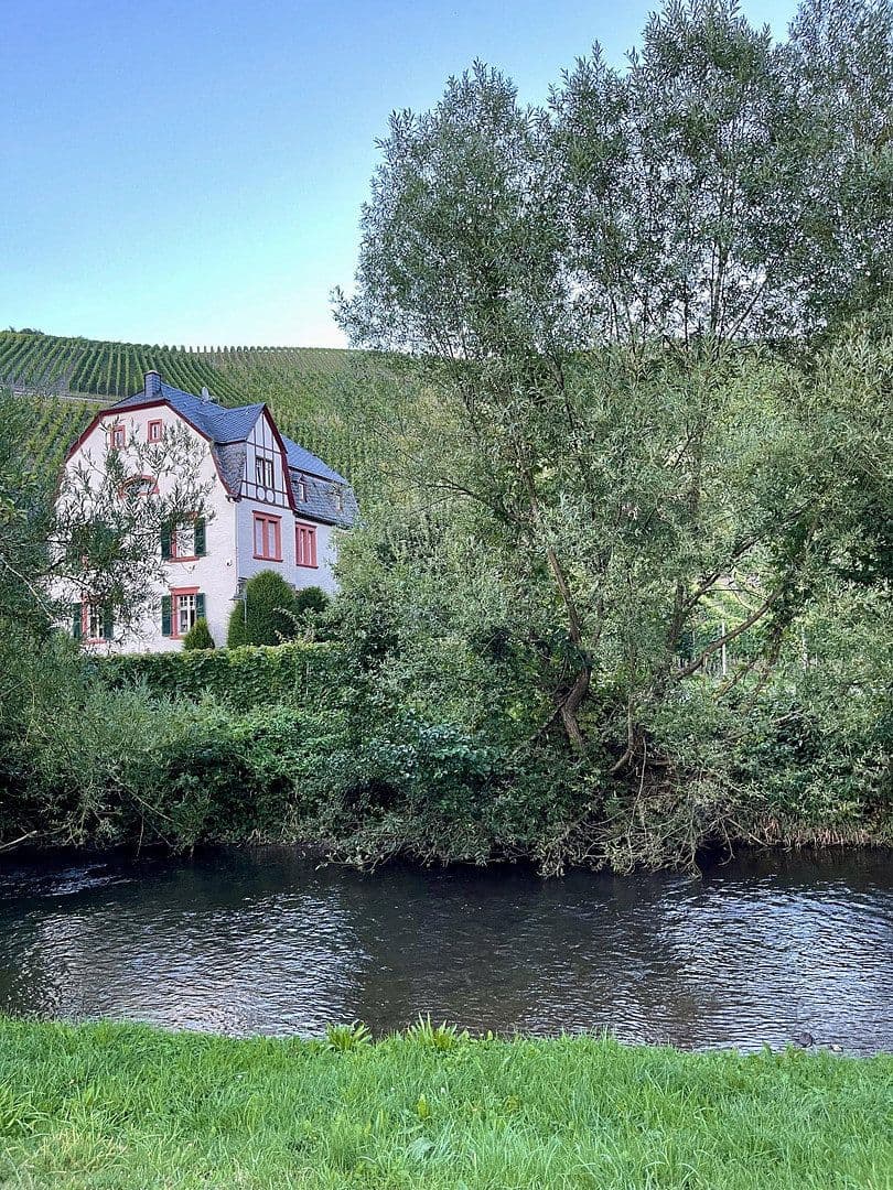 Prodej domu 226 m², pozemek 3.169 m², Neumagen-Dhron, Porýní-Falc Prodej domu 226 m², pozemek 3.169 m², Neumagen-Dhron, Porýní-Falc