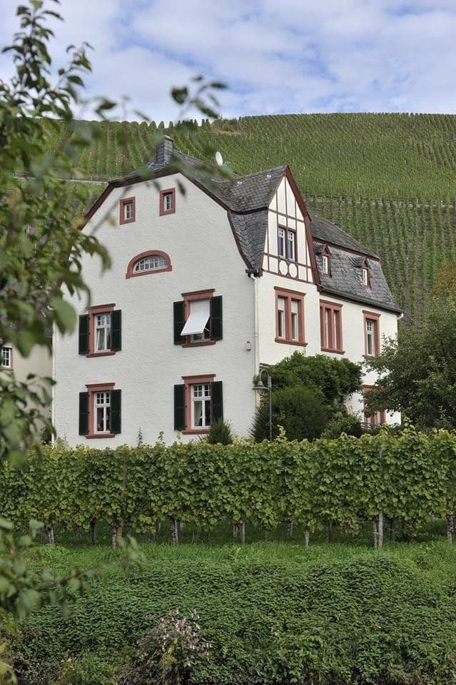 Prodej domu 226 m², pozemek 3.169 m², Neumagen-Dhron, Porýní-Falc Prodej domu 226 m², pozemek 3.169 m², Neumagen-Dhron, Porýní-Falc