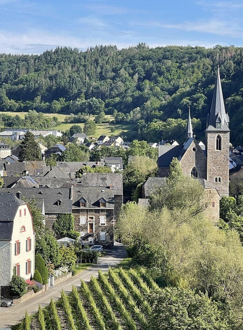 Prodej domu 226 m², pozemek 3.169 m², Neumagen-Dhron, Porýní-Falc Prodej domu 226 m², pozemek 3.169 m², Neumagen-Dhron, Porýní-Falc