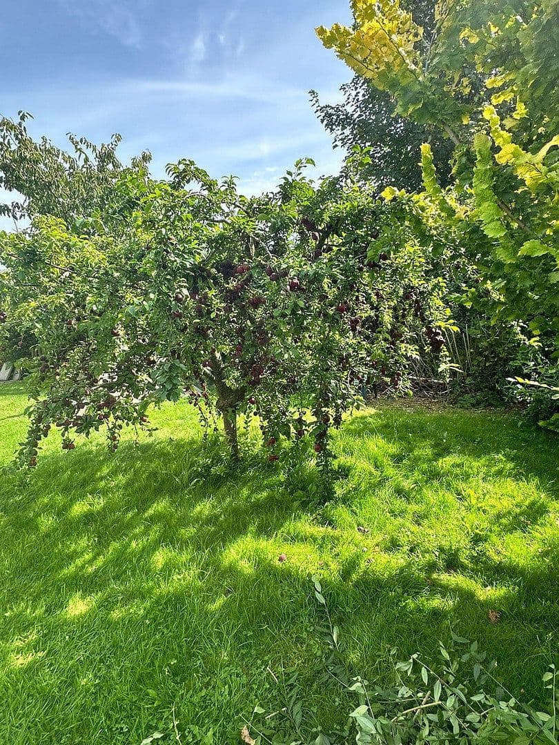 Prodej domu 116 m², pozemek 589 m², Hedwigenkoog, Šlesvicko-Holštýnsko Prodej domu 116 m², pozemek 589 m², Hedwigenkoog, Šlesvicko-Holštýnsko