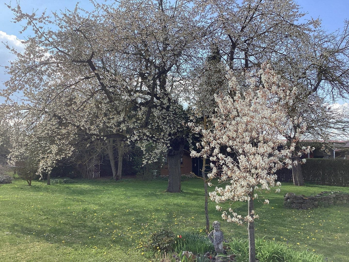Prodej domu 112 m², pozemek 1.309 m², Blankenhain, Durynsko Prodej domu 112 m², pozemek 1.309 m², Blankenhain, Durynsko