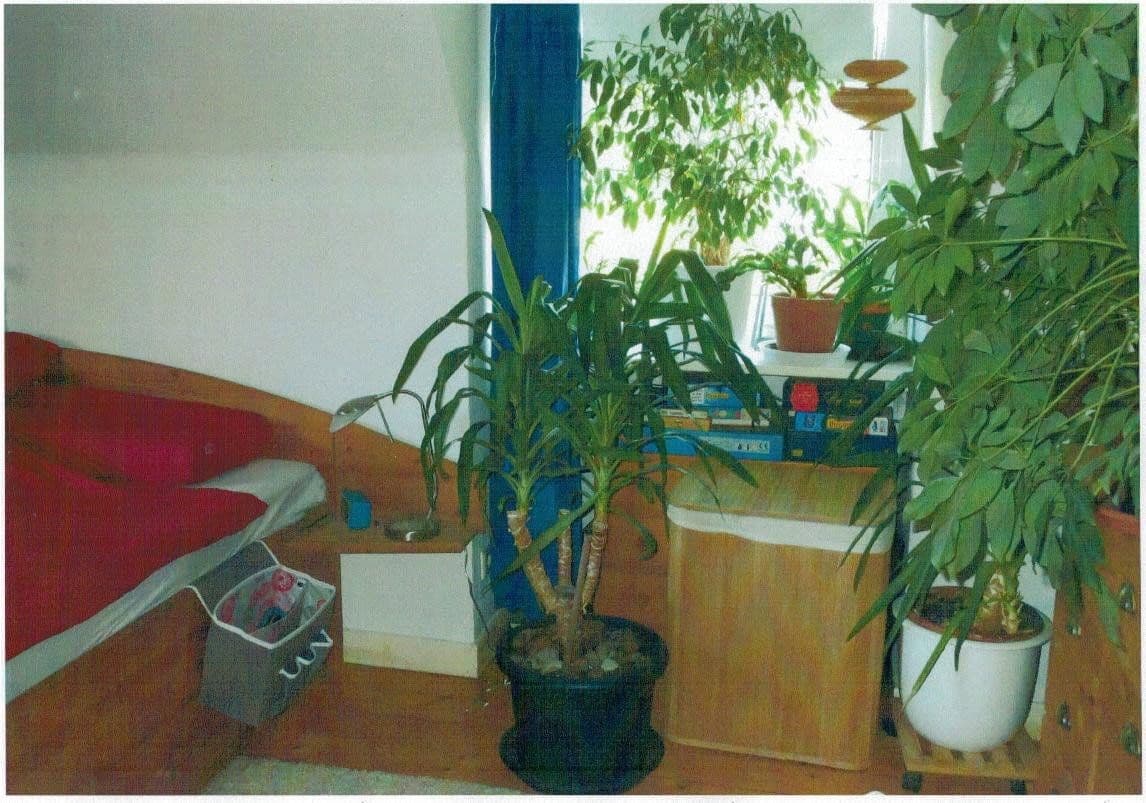 Pronájem bytu 4+1 83 m², Göttingen, Dolní Sasko Pronájem bytu 4+1 83 m², Göttingen, Dolní Sasko