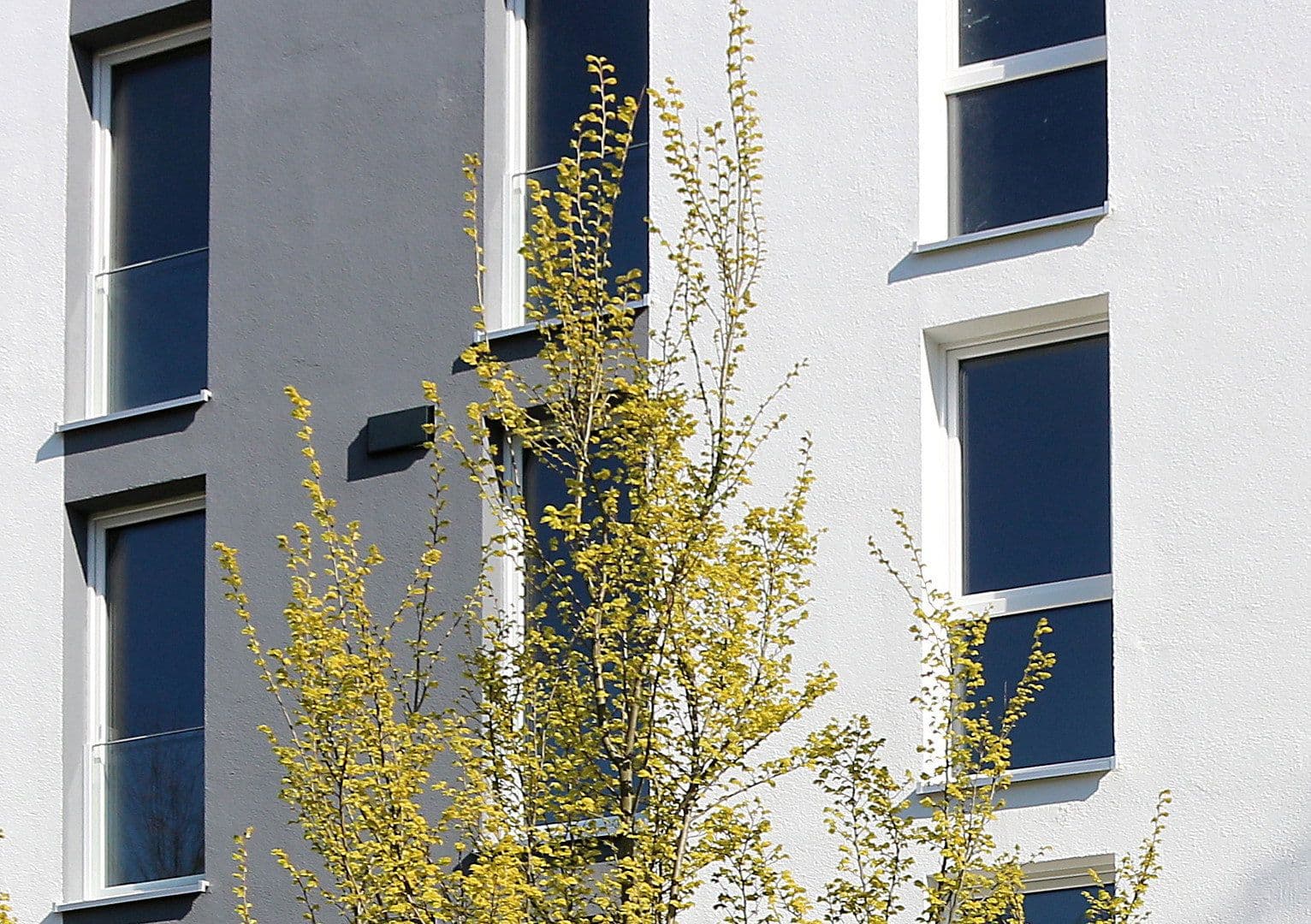 Pronájem bytu 3+1 70 m², Albert-Einstein-Str. 7a, Rostock, Mecklenburg-Vorpommern Pronájem bytu 3+1 70 m², Albert-Einstein-Str. 7a, Rostock, Mecklenburg-Vorpommern