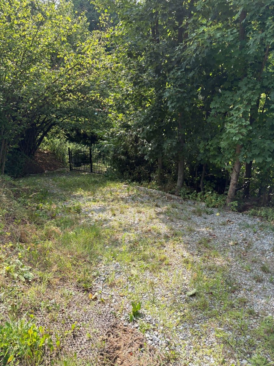 Prodej chaty, chalupy 42 m², pozemek 1.157 m², Čížová, Jihočeský kraj Prodej chaty, chalupy 42 m², pozemek 1.157 m², Čížová, Jihočeský kraj