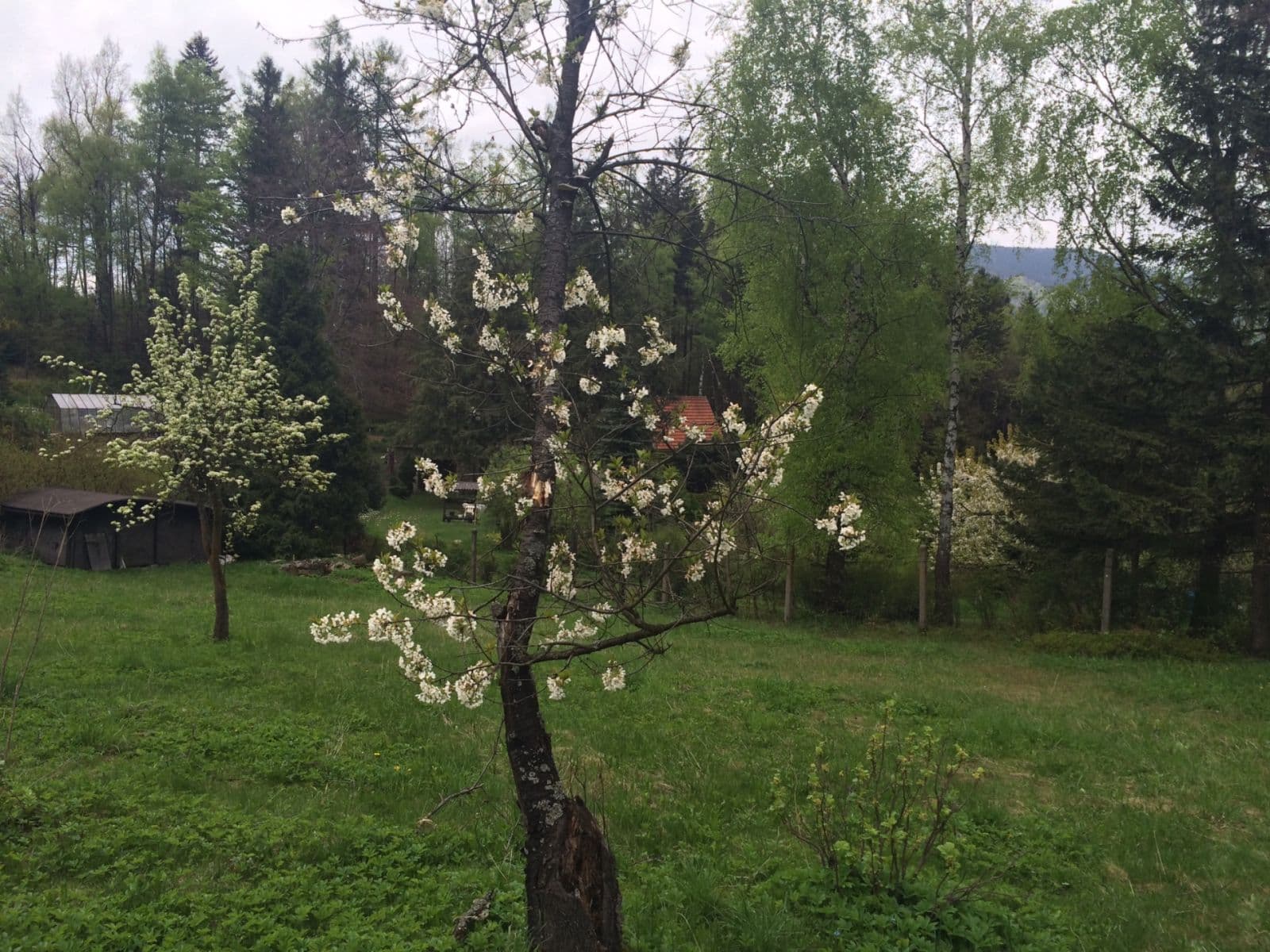 Pronájem chaty, chalupy 40 m², pozemek 2.144 m², Čeladná, Moravskoslezský kraj Pronájem chaty, chalupy 40 m², pozemek 2.144 m², Čeladná, Moravskoslezský kraj