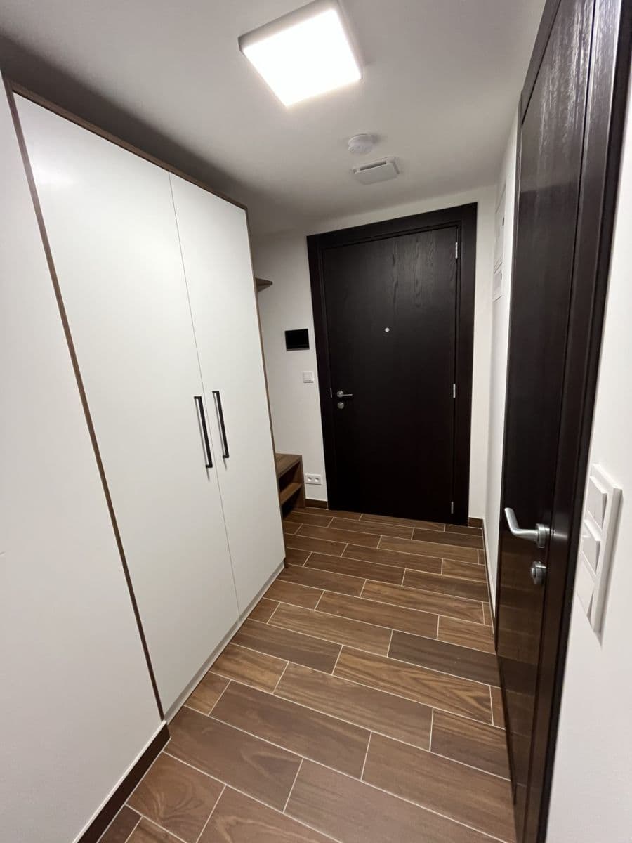 Pronájem bytu 1+kk 33 m², Třída Jiřího Pelikána, Olomouc, Olomoucký kraj Pronájem bytu 1+kk 33 m², Třída Jiřího Pelikána, Olomouc, Olomoucký kraj