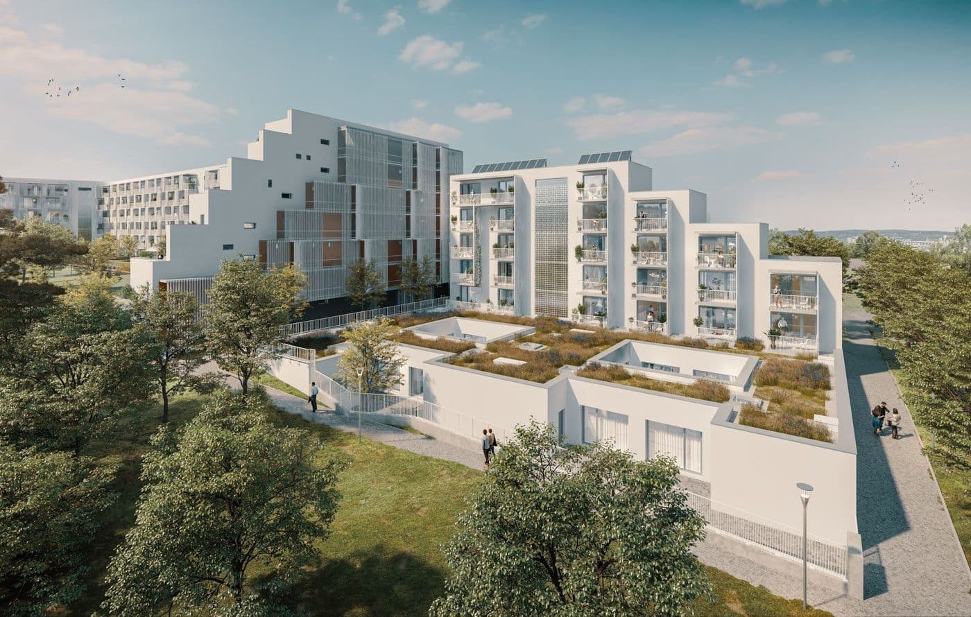 Pronájem bytu 1+kk 31 m², Řepova, Brno, Jihomoravský kraj Pronájem bytu 1+kk 31 m², Řepova, Brno, Jihomoravský kraj