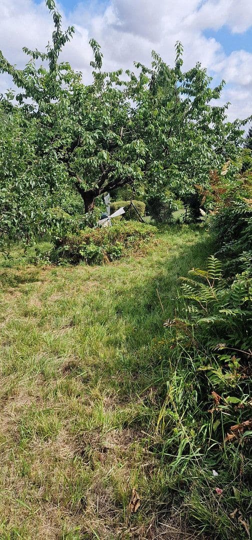 Prodej domu 145 m², pozemek 1.068 m², Bad Sachsa, Dolní Sasko Prodej domu 145 m², pozemek 1.068 m², Bad Sachsa, Dolní Sasko