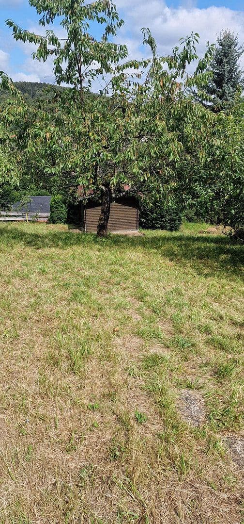 Prodej domu 145 m², pozemek 1.068 m², Bad Sachsa, Dolní Sasko Prodej domu 145 m², pozemek 1.068 m², Bad Sachsa, Dolní Sasko