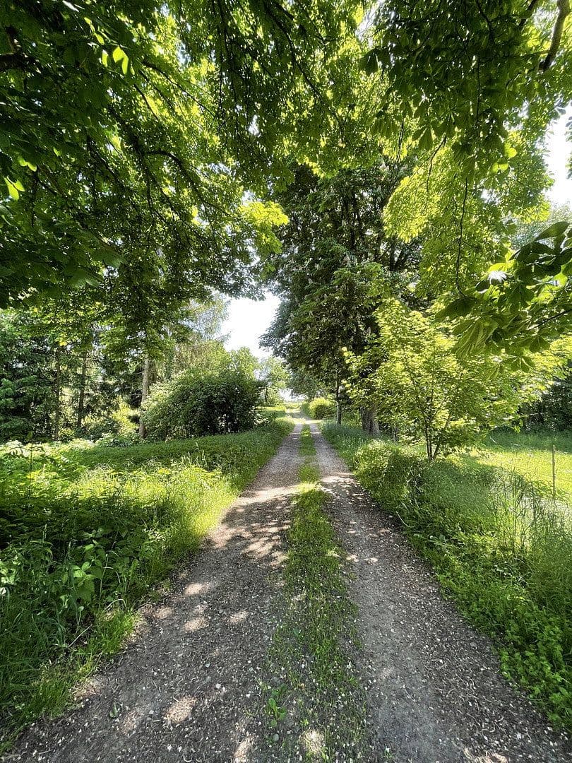 Prodej domu 145 m², pozemek 2.000 m², Beetzendorf, Sasko-Anhaltsko Prodej domu 145 m², pozemek 2.000 m², Beetzendorf, Sasko-Anhaltsko