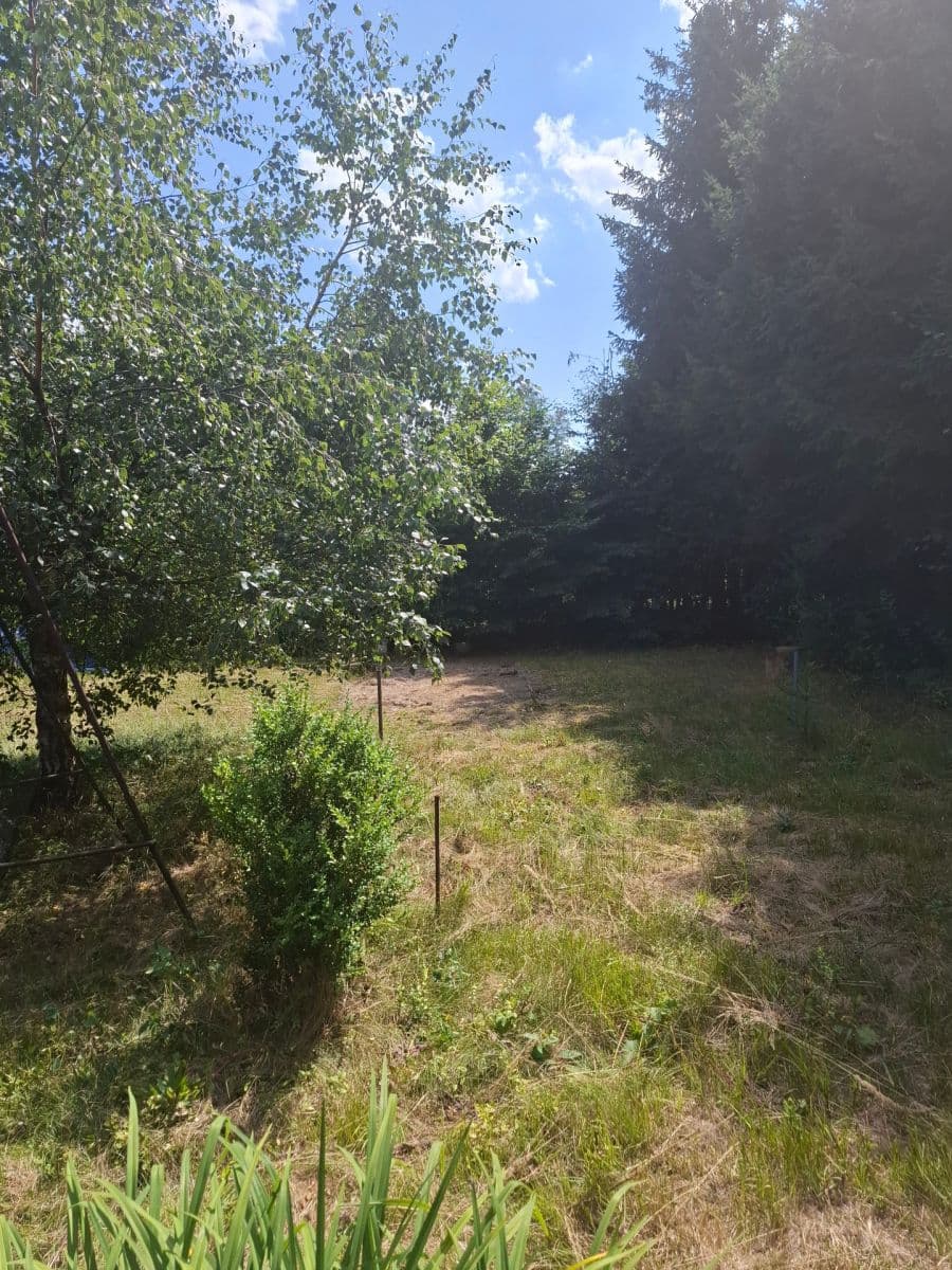 Prodej chaty, chalupy 43 m², pozemek 833 m², Smrčná, Kraj Vysočina Prodej chaty, chalupy 43 m², pozemek 833 m², Smrčná, Kraj Vysočina
