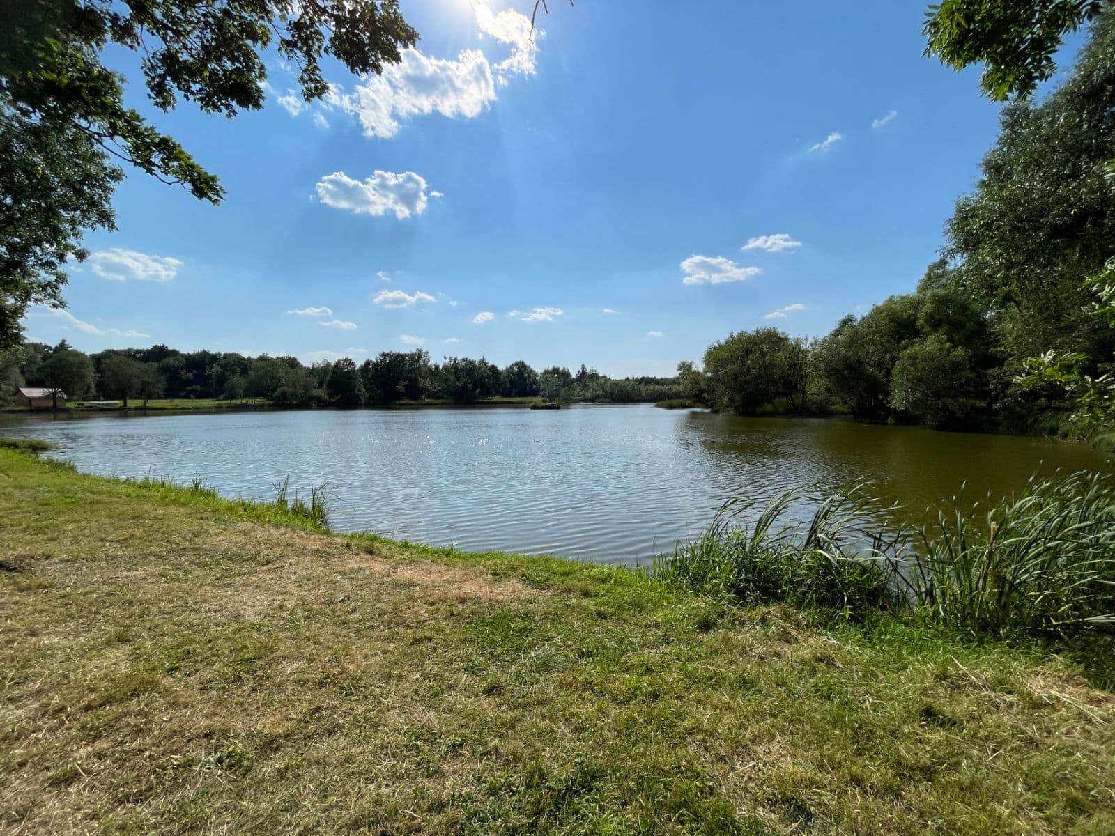 Pronájem bytu 3+1 59 m², Nová Ves, Karlovarský kraj Pronájem bytu 3+1 59 m², Nová Ves, Karlovarský kraj