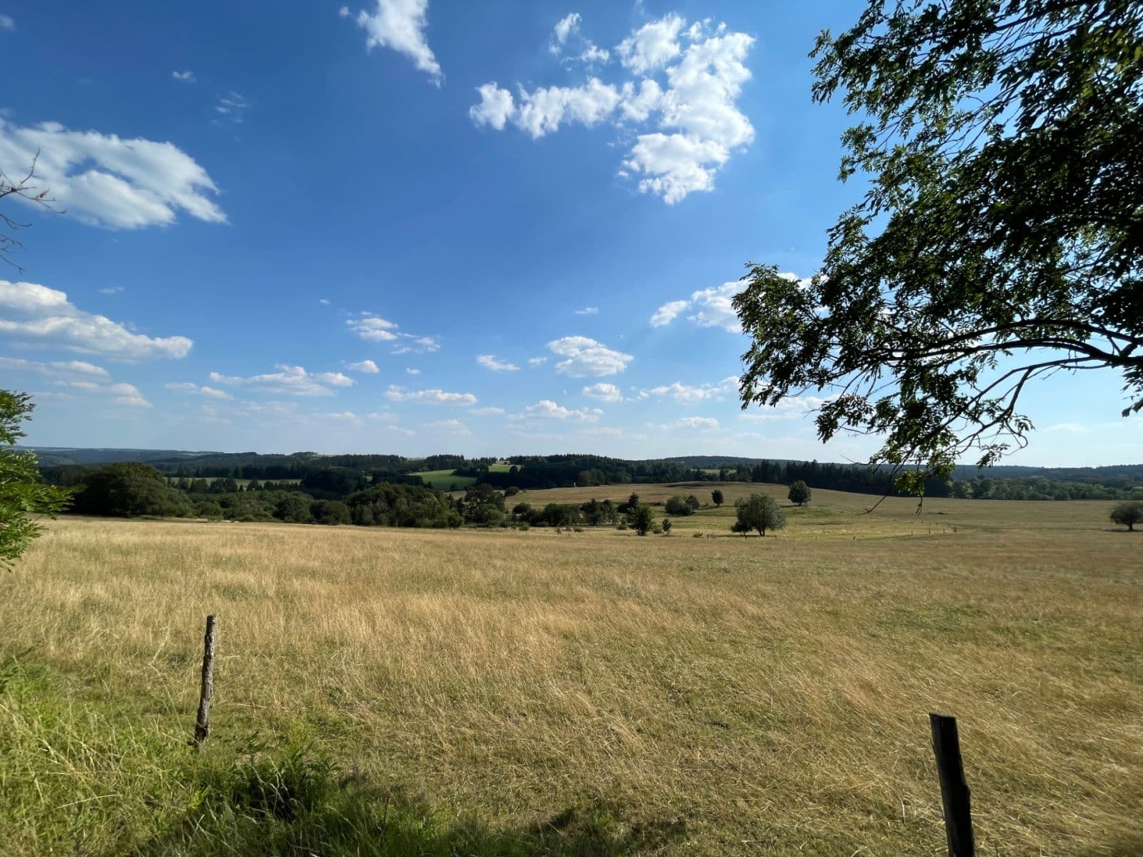 Pronájem bytu 3+1 59 m², Nová Ves, Karlovarský kraj Pronájem bytu 3+1 59 m², Nová Ves, Karlovarský kraj
