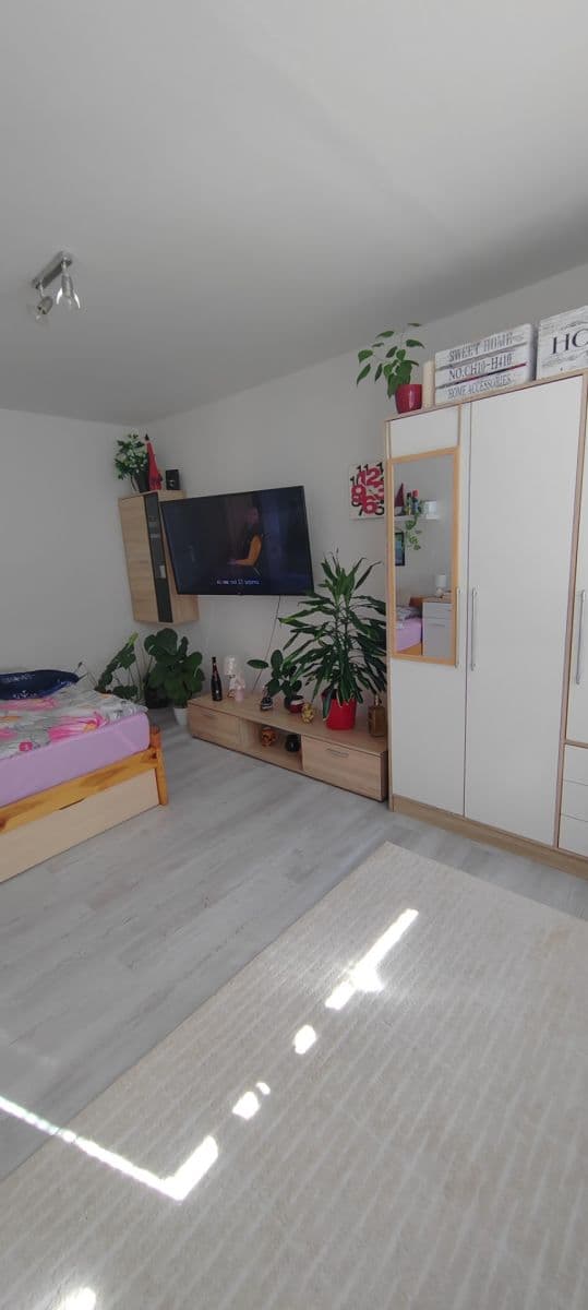 Prodej bytu 2+kk 34 m², Peškova, Ústí nad Labem, Ústecký kraj Prodej bytu 2+kk 34 m², Peškova, Ústí nad Labem, Ústecký kraj