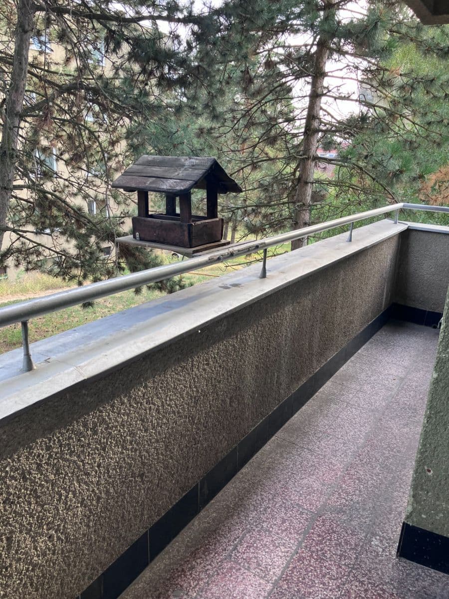 Pronájem bytu 2+kk 54 m², Došlíkova, Brno, Jihomoravský kraj Pronájem bytu 2+kk 54 m², Došlíkova, Brno, Jihomoravský kraj